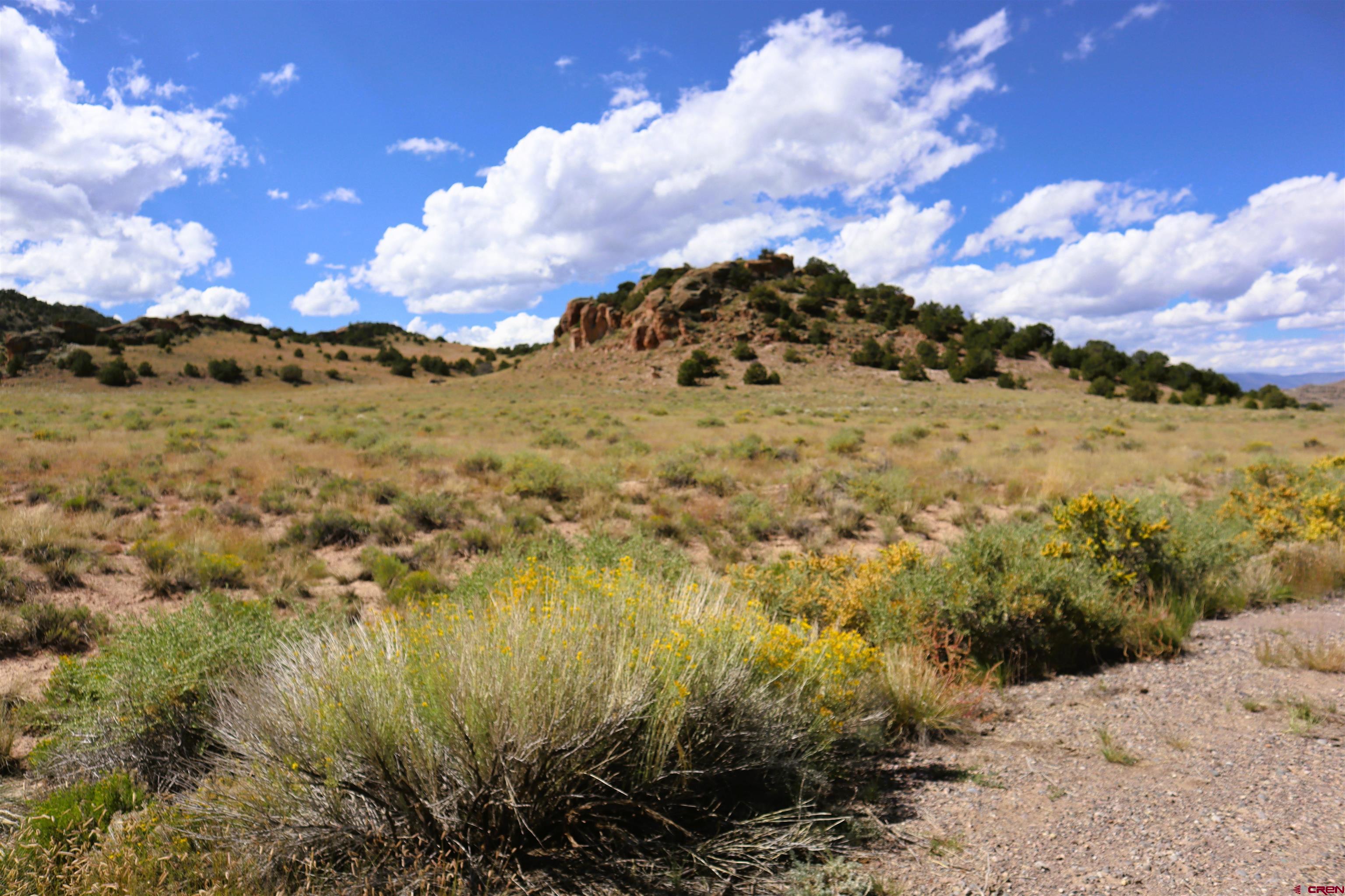 Photo of 1230 Pronghorn Trl in Del Norte, CO