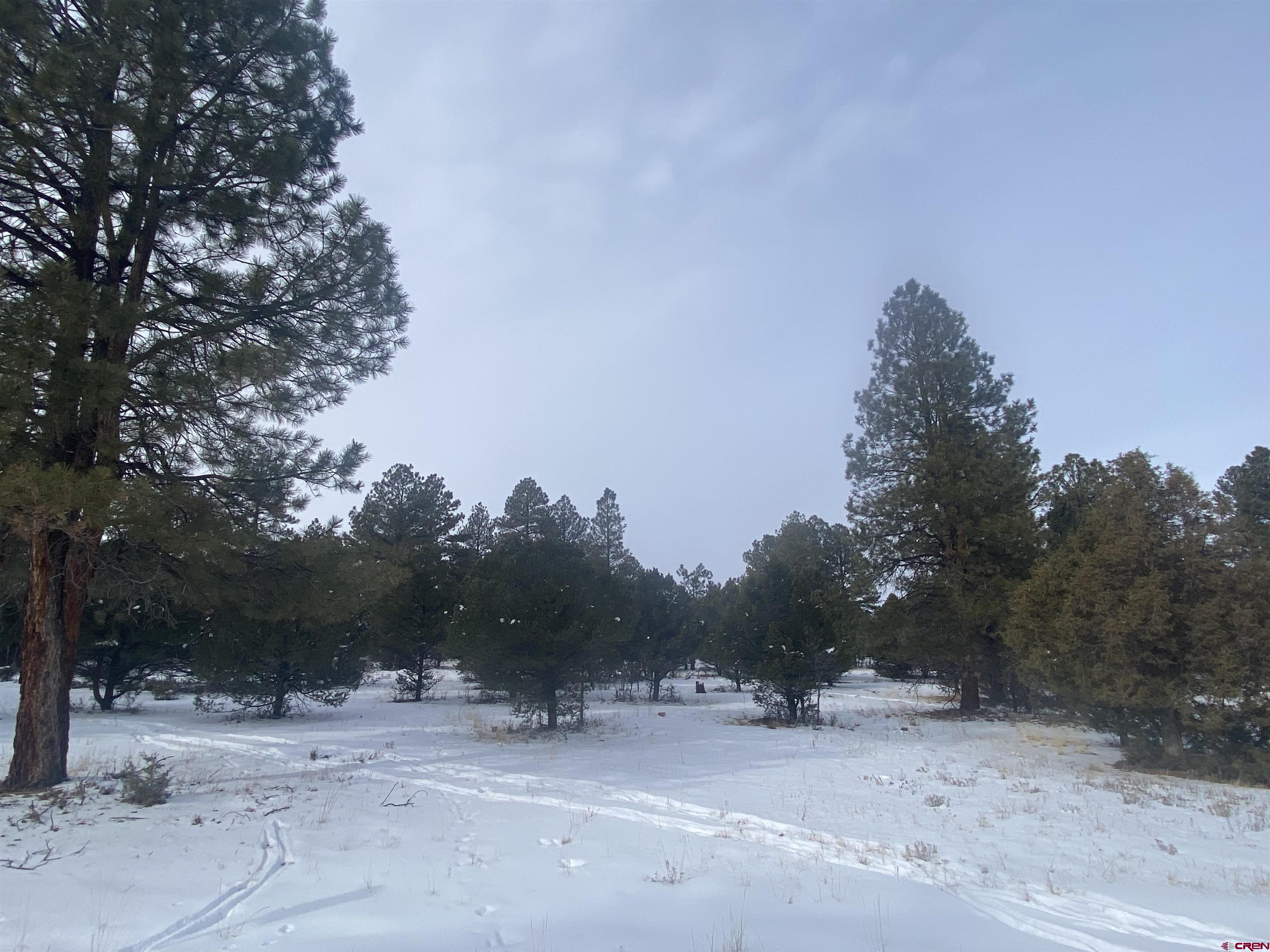 Great 1 acre lot in Divide Ranch and Club. Lot is on the exterior portion of the subdivision so you don't have to worry about flying golf balls hitting your windows from the fairway but still enjoy the amenities of this great community. And this location is close to the club house too.  Pretty Ponderosa Pine trees abound offering shade and relief from the hot summer sun and you will love the deer that wander through.  Dallas Creek water tap is paid and installed with all utilities at the lot line with paved roads throughout the subdivision.  Private and peaceful yet just 10 minutes to the Town of Ridgway, 30 minutes to Montrose with the recently (and continuing to be) improved Regional Airport and 45 minutes to world class skiing in Telluride. Come realize your dream of owning property and building a home in Southwestern Colorado!