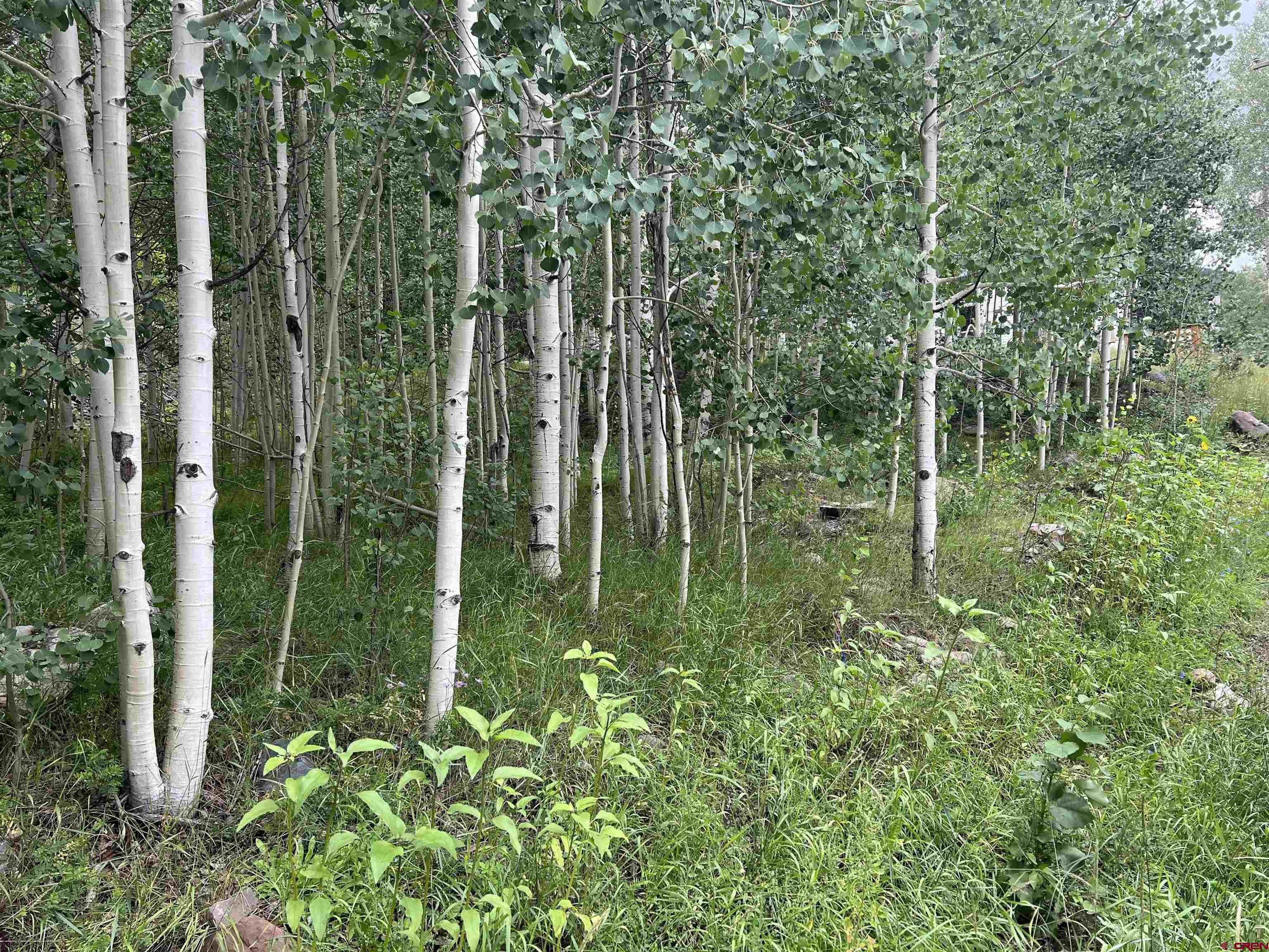 Photo of 134 N Garfield in Rico, CO