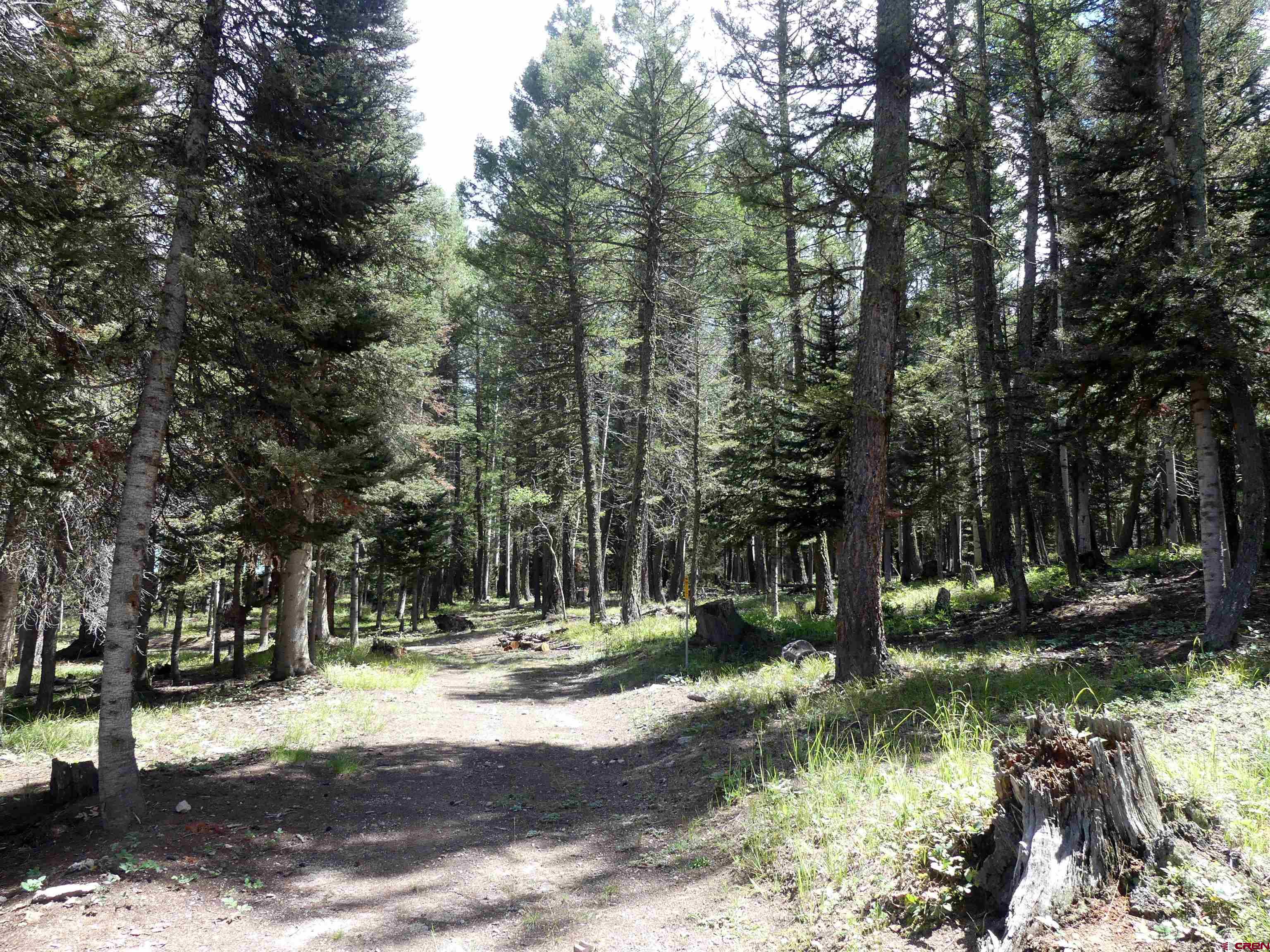 Arrowhead Mountain Homes for Sale, Arrowhead Mountain Lots for Sale