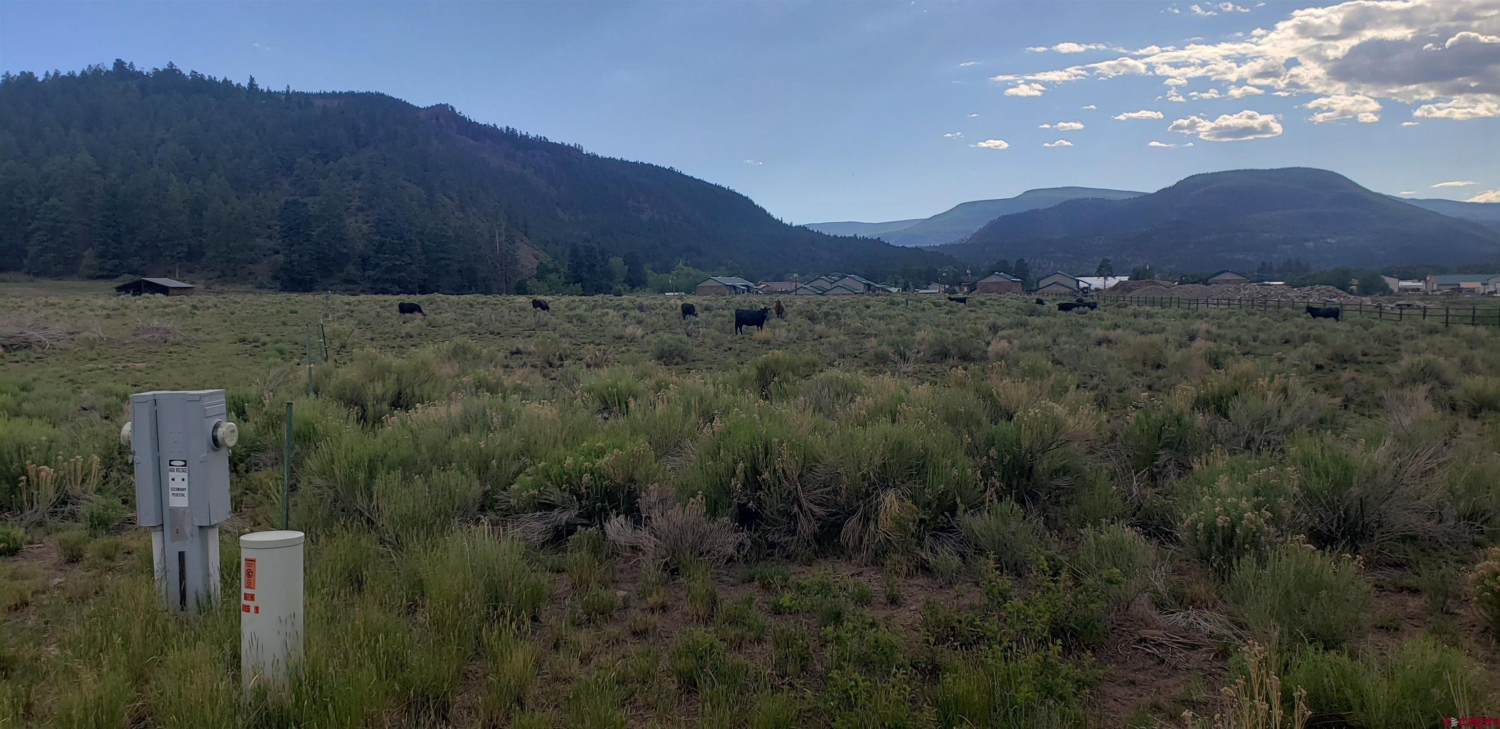 Photo of 173 Willow Park Dr in South Fork, CO
