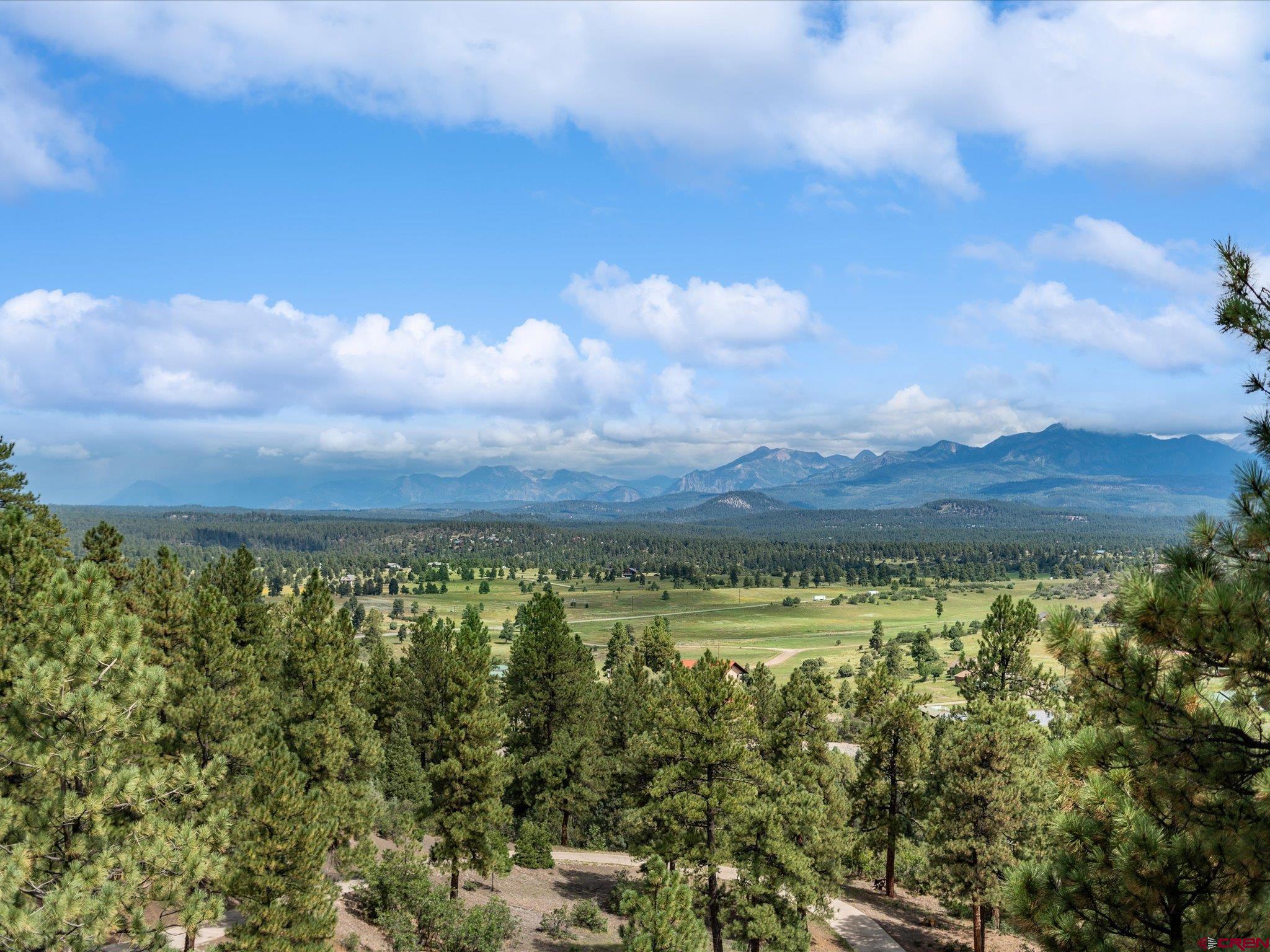 881 Hersch Avenue, Pagosa Springs, CO 81147 Listing Photo  33