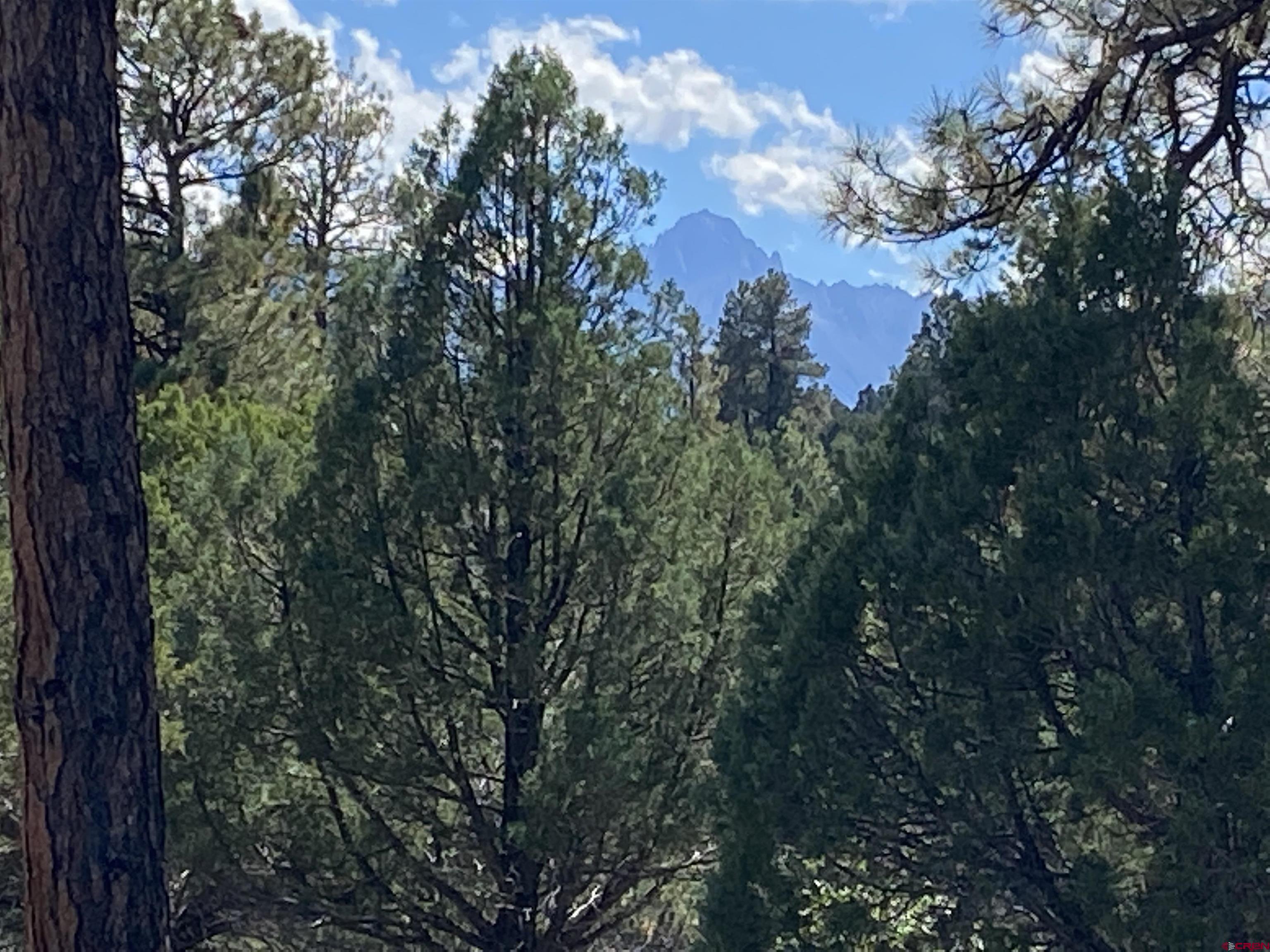 Paved roads and jaw-dropping scenery will lead you to your future homesite with all utilities to the lot line including Fiber Optics.   This lot with tall Ponderosa's backs a canyon for ultimate privacy and is ready to build your new home.  A carefully designed home has the possibility or Mountain Views.  Easy access to the Golf Course across the street. Divide Ranch & Club Golf Course is the perfect spot to get your game on.  Even for those that are not avid golfers there is different scenery from every hole on the course that you do not want to miss out on. In the winter enjoy snowshoeing, cross country skiing and sledding throughout the community.  The clubhouse offers opportunities to meet with your neighbors for a cocktail and a bite to eat.   It is also a gorgeous backdrop for a special events including weddings, birthdays, or other small private parties.  The community is centrally located in Southwestern Colorado within close proximity to every outdoor activity you can imagine.  Enjoy skiing or snowboarding in world renowned Telluride CO in the winter and take advantage of the many festivals offered throughout the summer including, Film, Wine, Yoga, Blue Grass ,Blue‘s & Brew’s and many more .  Ouray, known as the Little Switzerland of the US,  is within 15 min where you can soak in the Hot Springs while looking up at the mountains and hike or drive to waterfalls. Fly fishing, boating, kayaking, paddle boarding, hiking, mountain biking and off-roading is literally minutes away from your front door.  When you are done playing in the mountains stop by one of the local breweries or dine in one of the restaurants.  Divide Ranch & Club is a hidden gem nestled in the San Juan’s and is the perfect spot for a forever home or a second home.