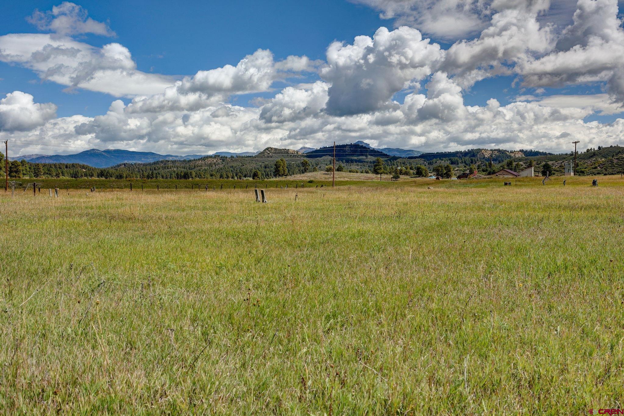 5503 Highway 84, Pagosa Springs, CO 81147 Listing Photo  11