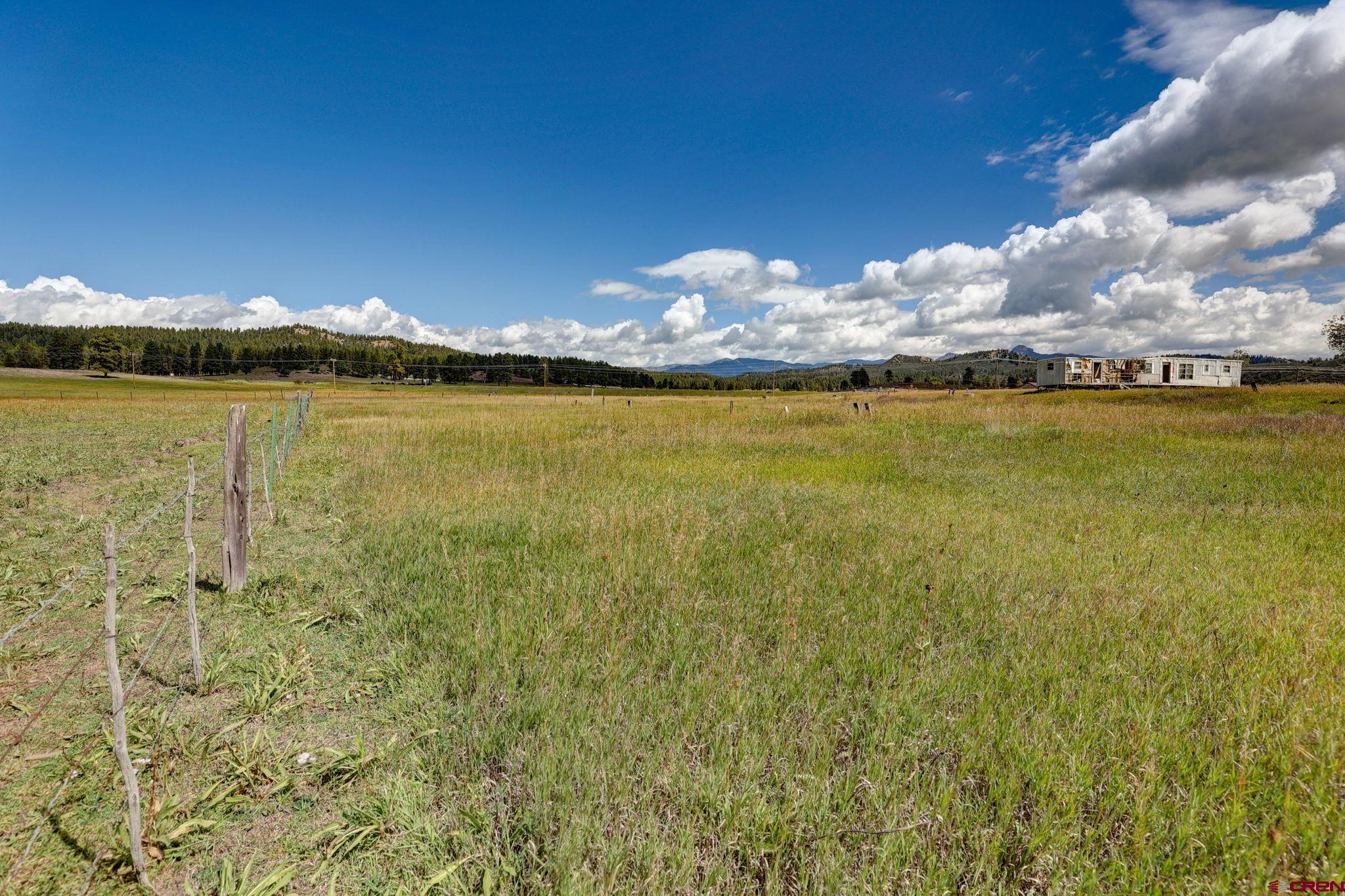 5503 Highway 84, Pagosa Springs, CO 81147 Listing Photo  12