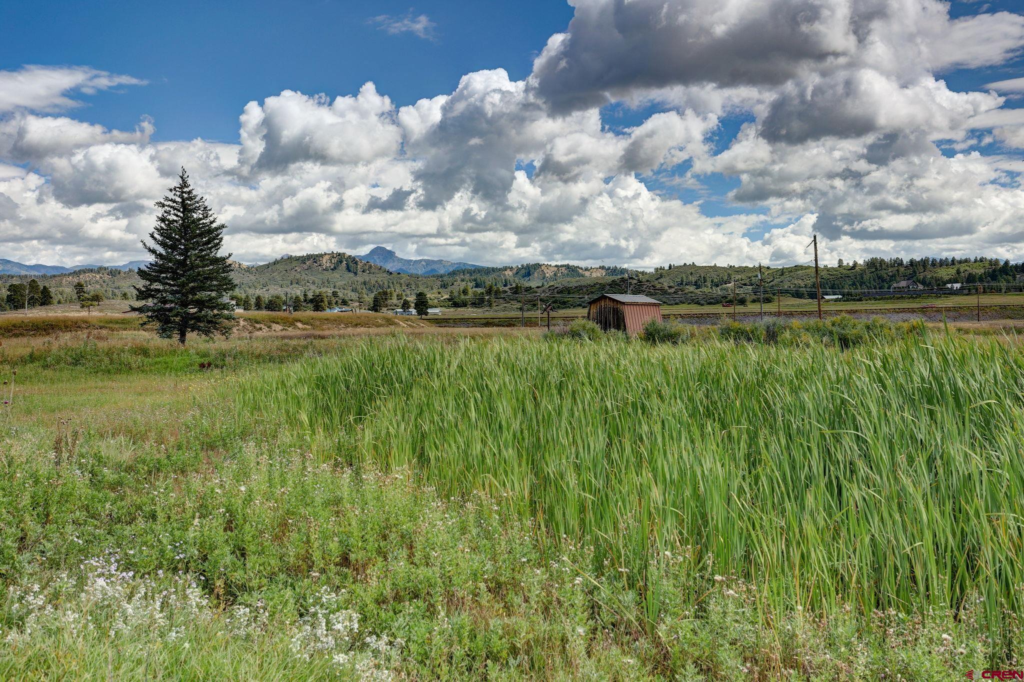 5503 Highway 84, Pagosa Springs, CO 81147 Listing Photo  14