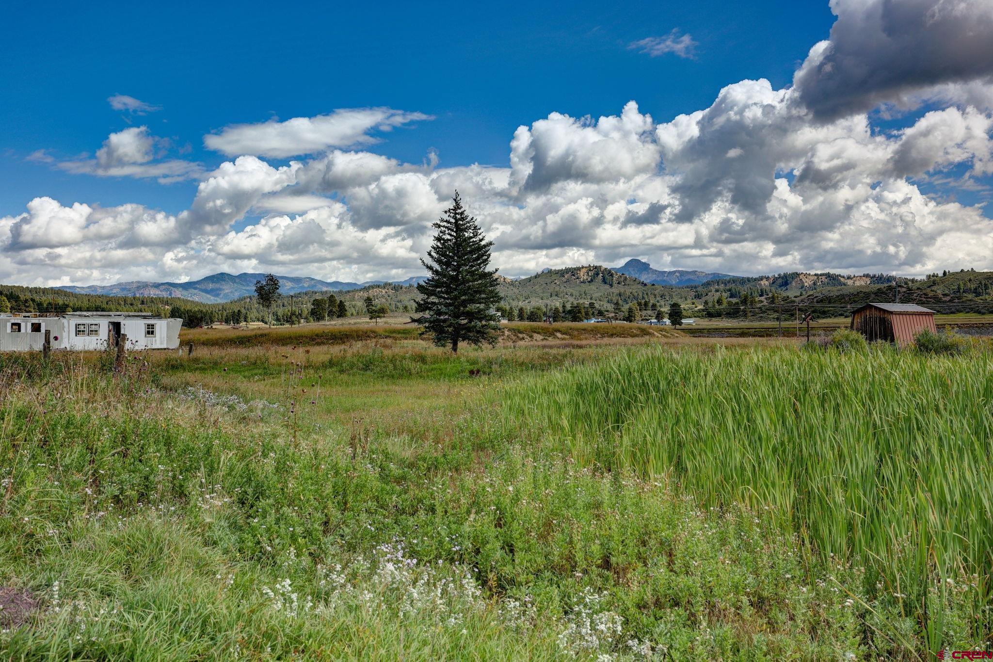 5503 Highway 84, Pagosa Springs, CO 81147 Listing Photo  15