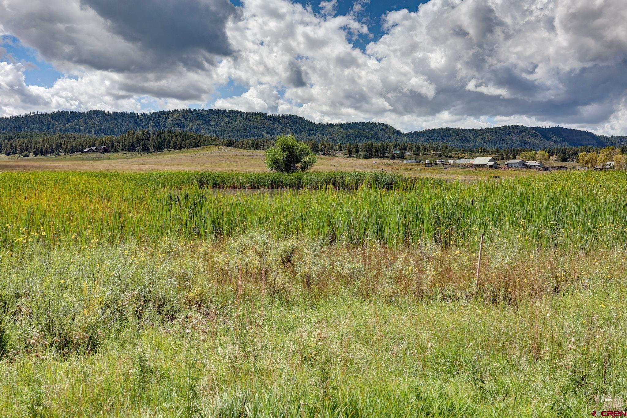 5503 Highway 84, Pagosa Springs, CO 81147 Listing Photo  16