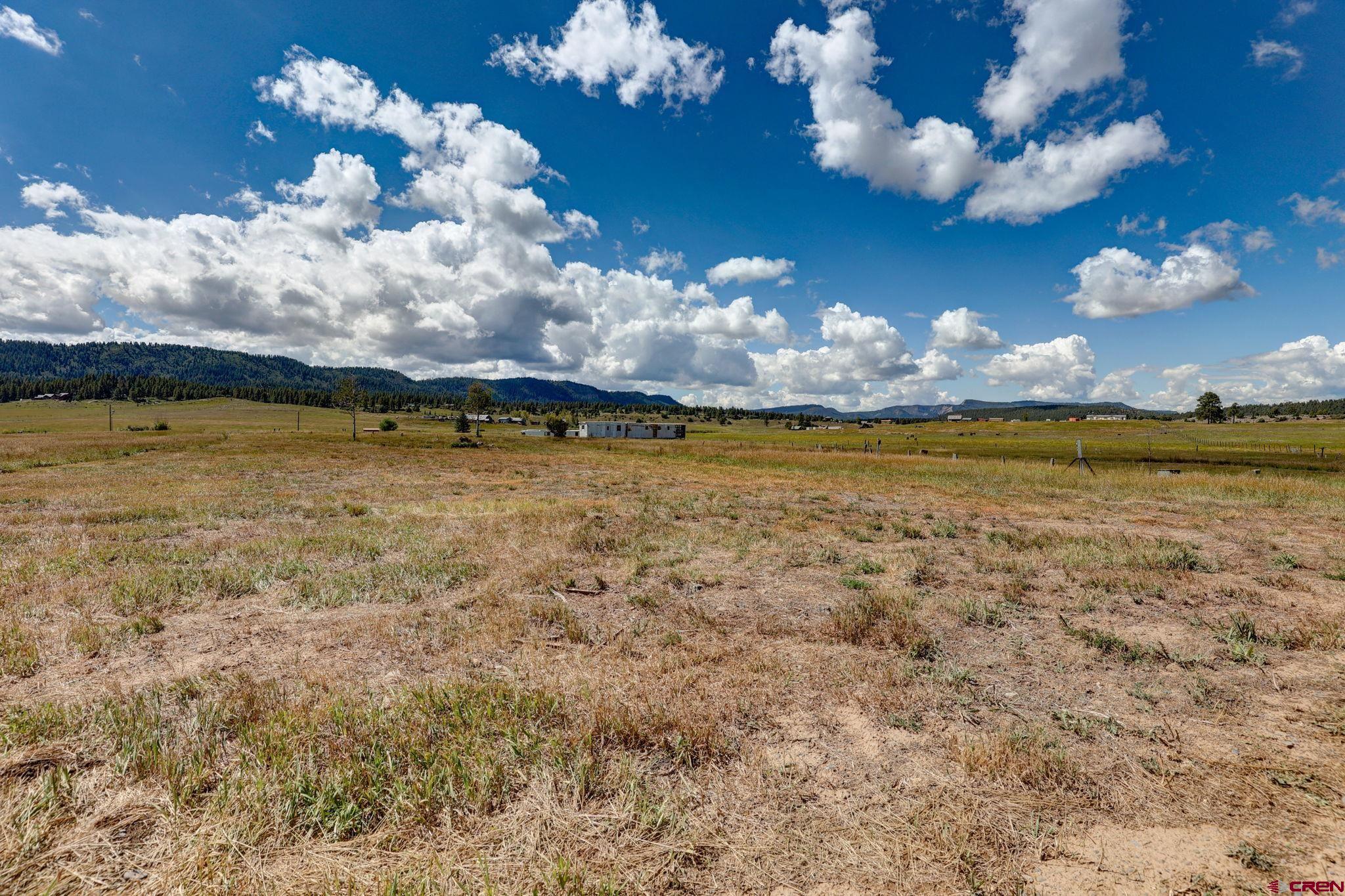5503 Highway 84, Pagosa Springs, CO 81147 Listing Photo  19