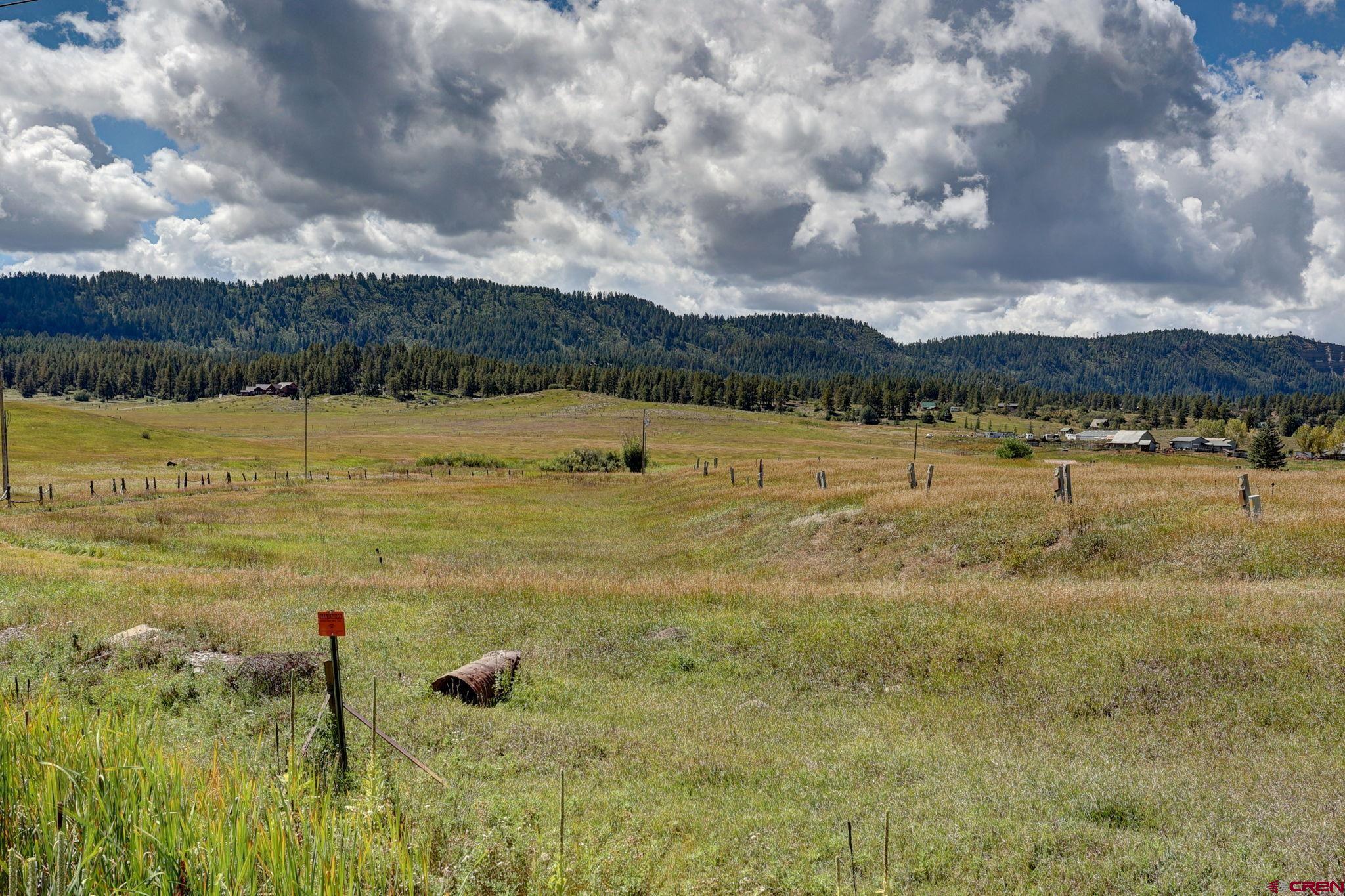 5503 Highway 84, Pagosa Springs, CO 81147 Listing Photo  22
