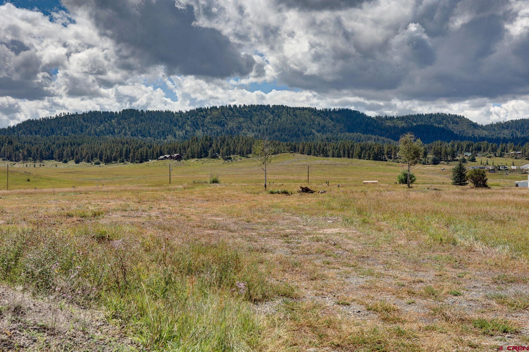 5503 Highway 84, Pagosa Springs, CO 81147 Listing Photo  25