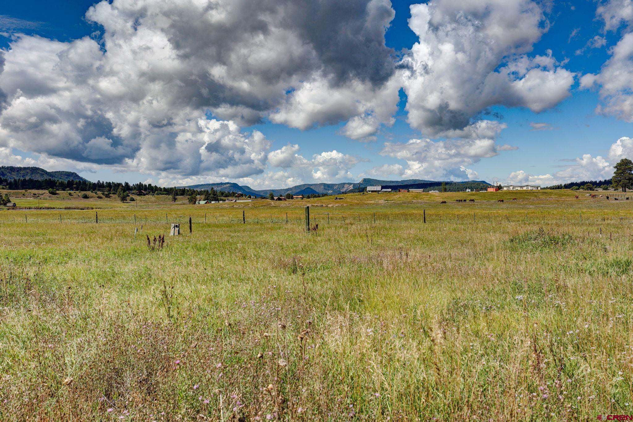 5503 Highway 84, Pagosa Springs, CO 81147 Listing Photo  6