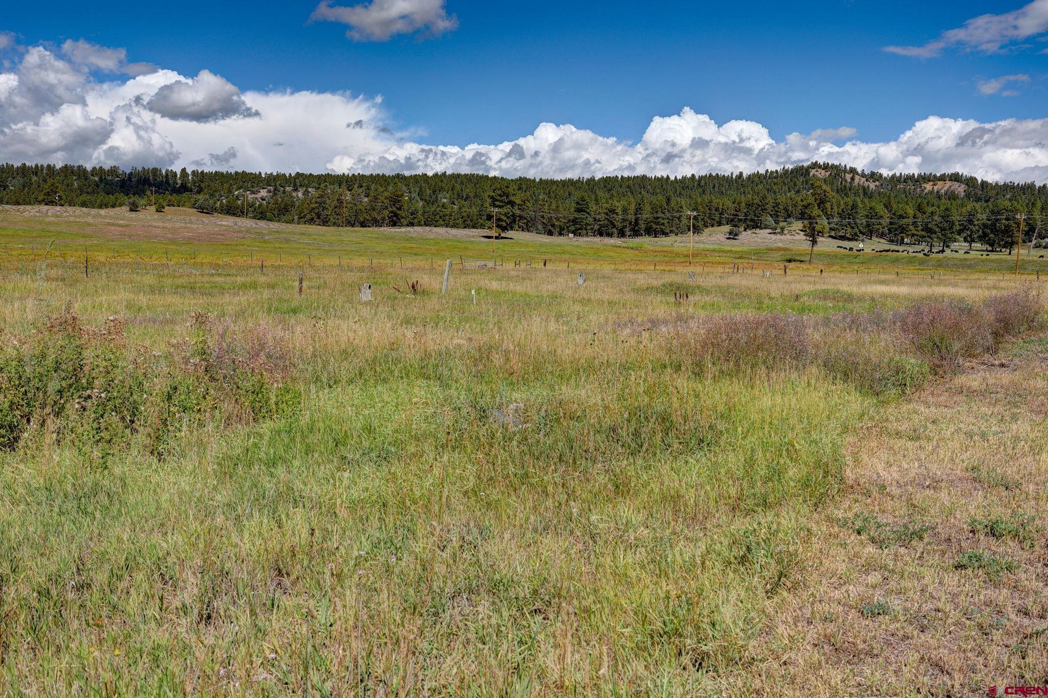 5503 Highway 84, Pagosa Springs, CO 81147 Listing Photo  7