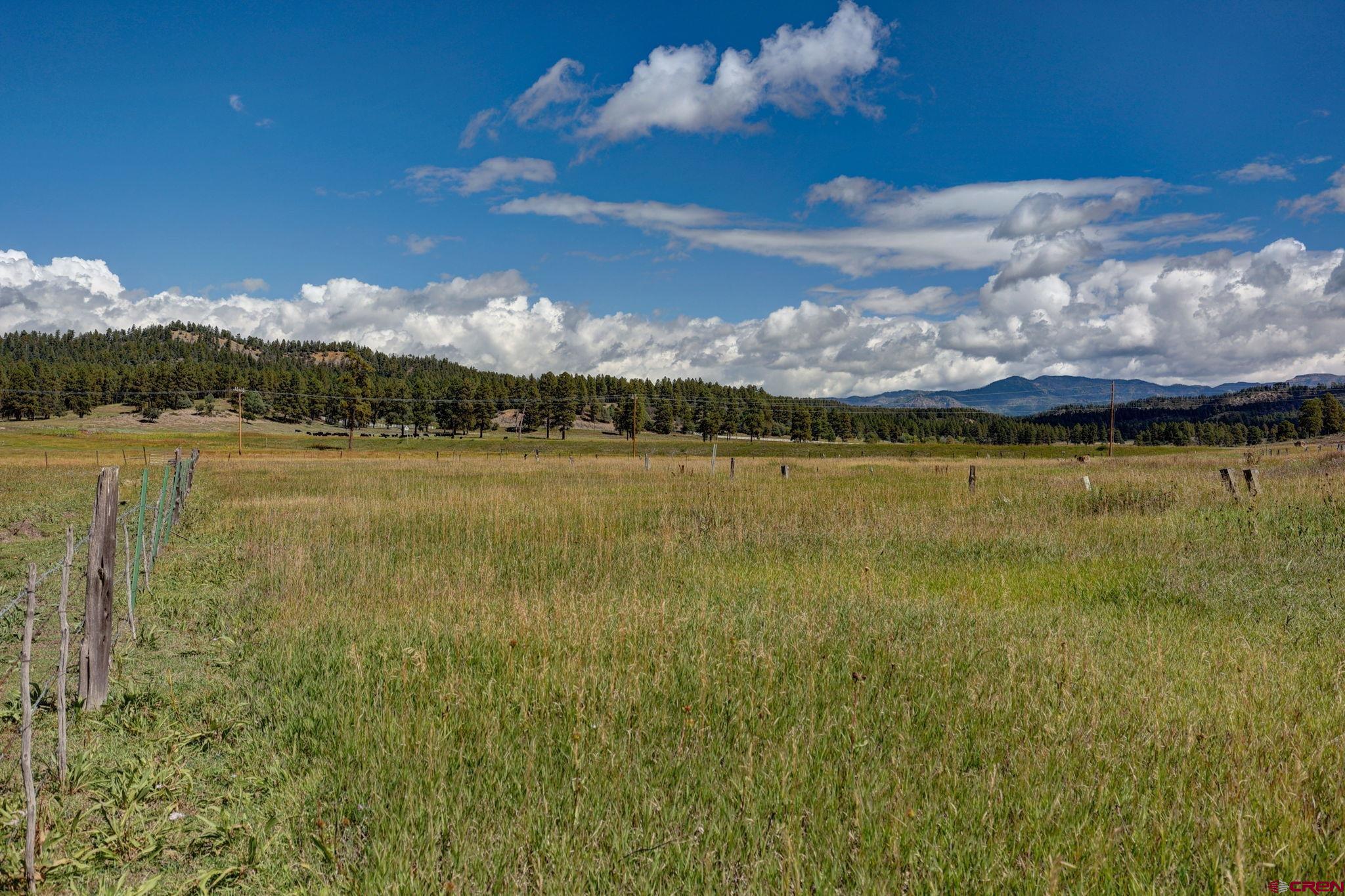 5503 Highway 84, Pagosa Springs, CO 81147 Listing Photo  9
