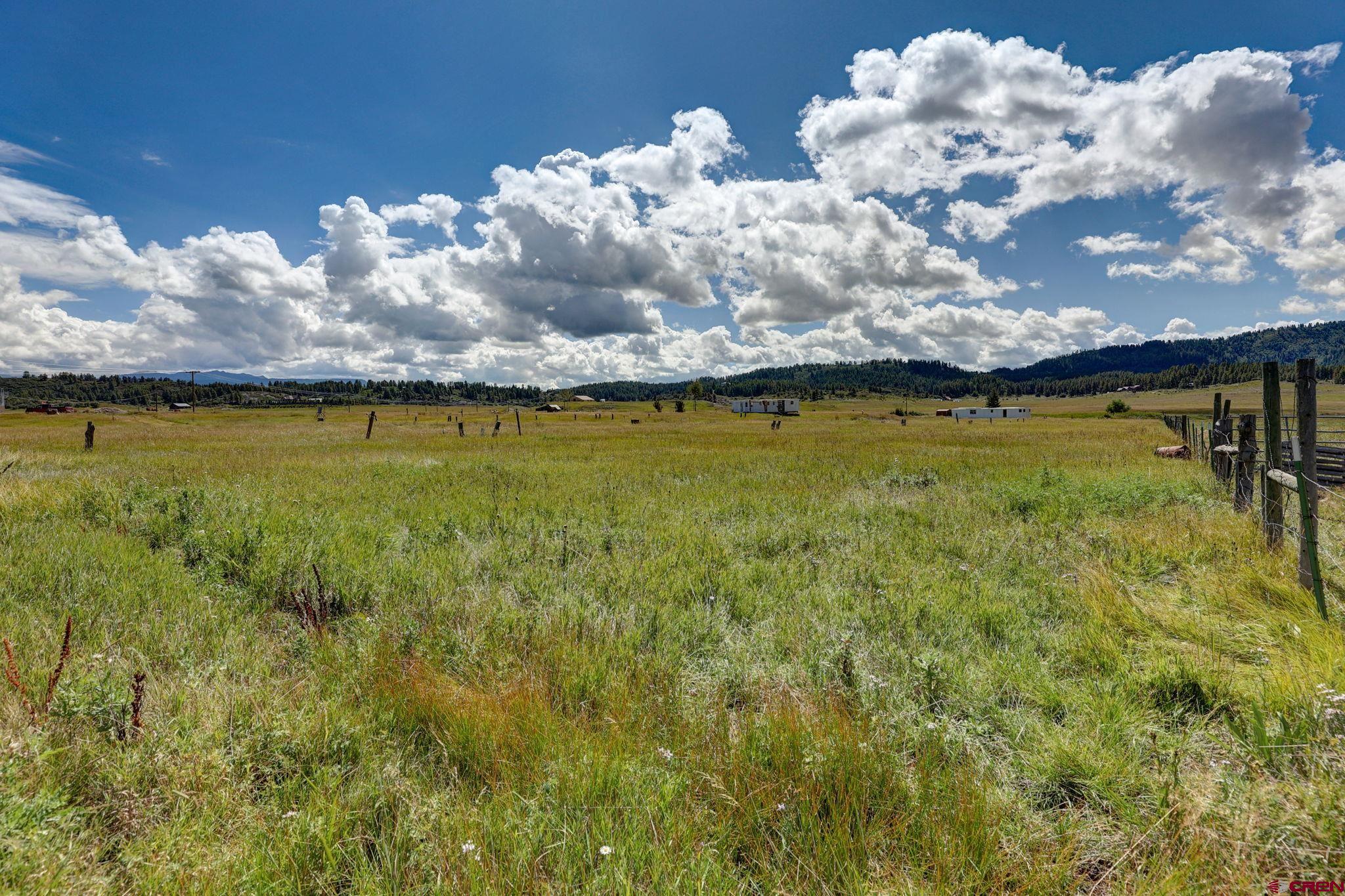 5503 Highway 84, Pagosa Springs, CO 81147 Listing Photo  10