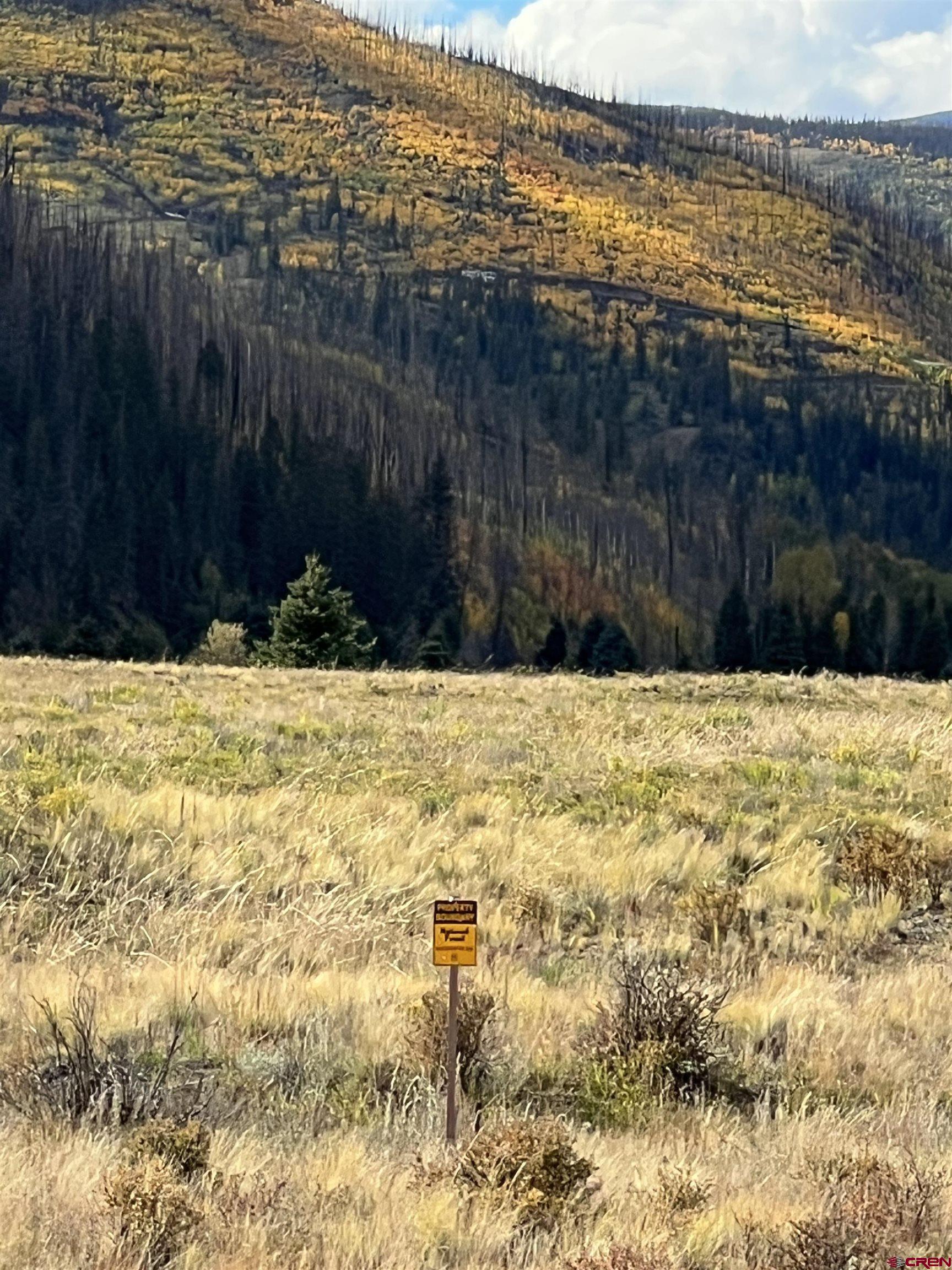 64 W Bristol Head Road Creede CO 81130 Sold