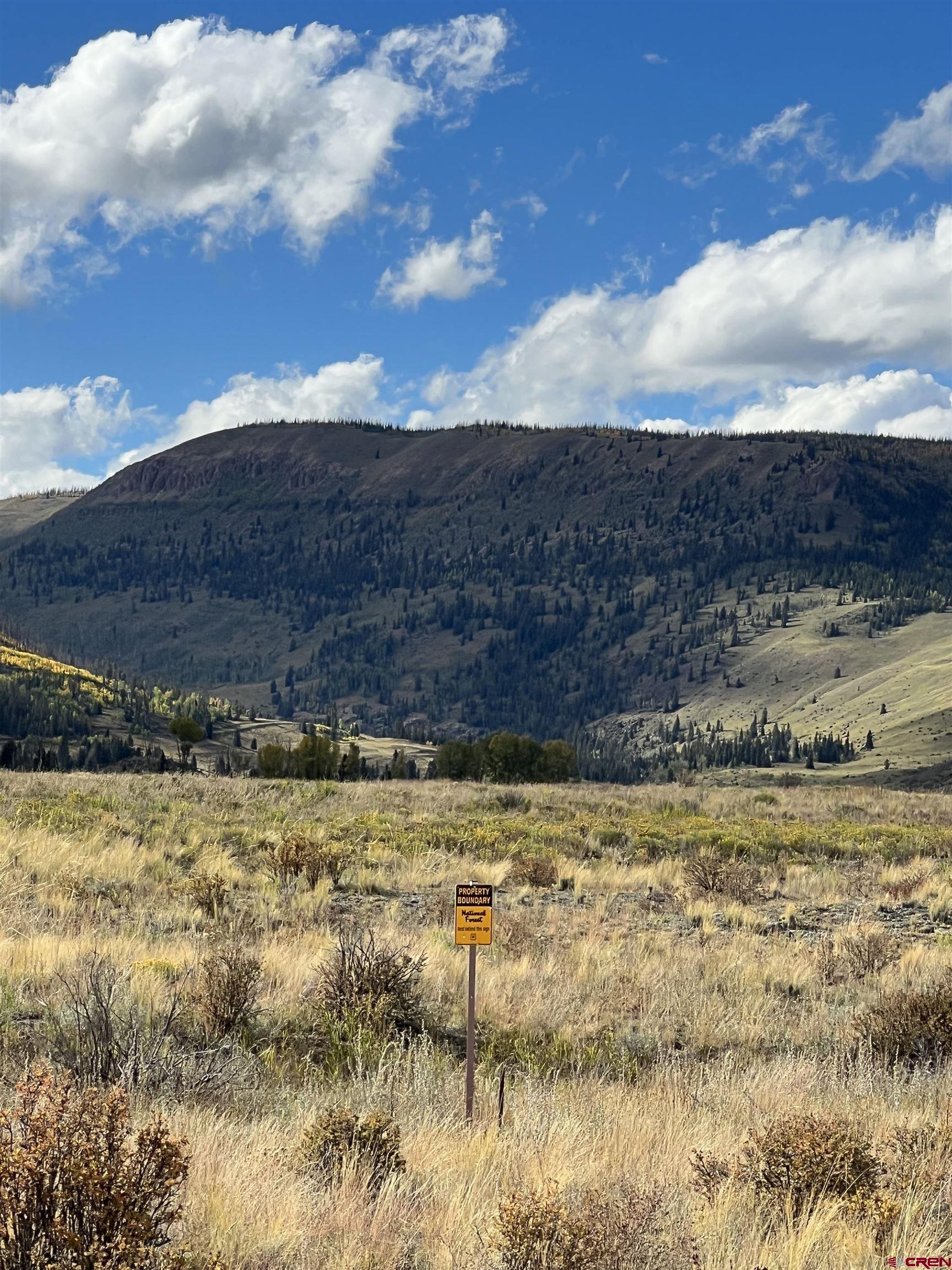 64 W Bristol Head Road Creede CO 81130 Sold