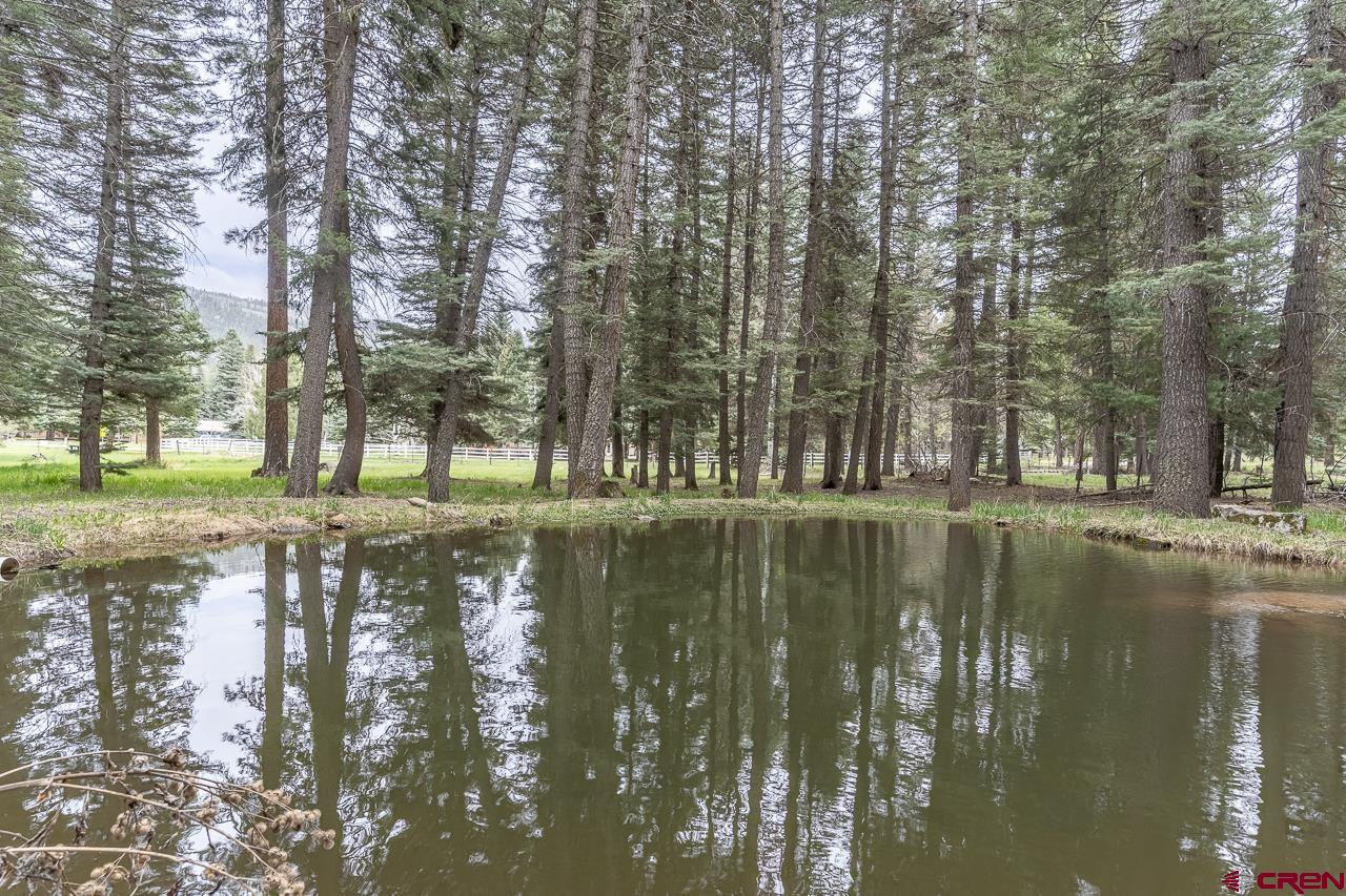 1695 County Road 500 Vallecito Lake/Bayfield CO 81122 Sold