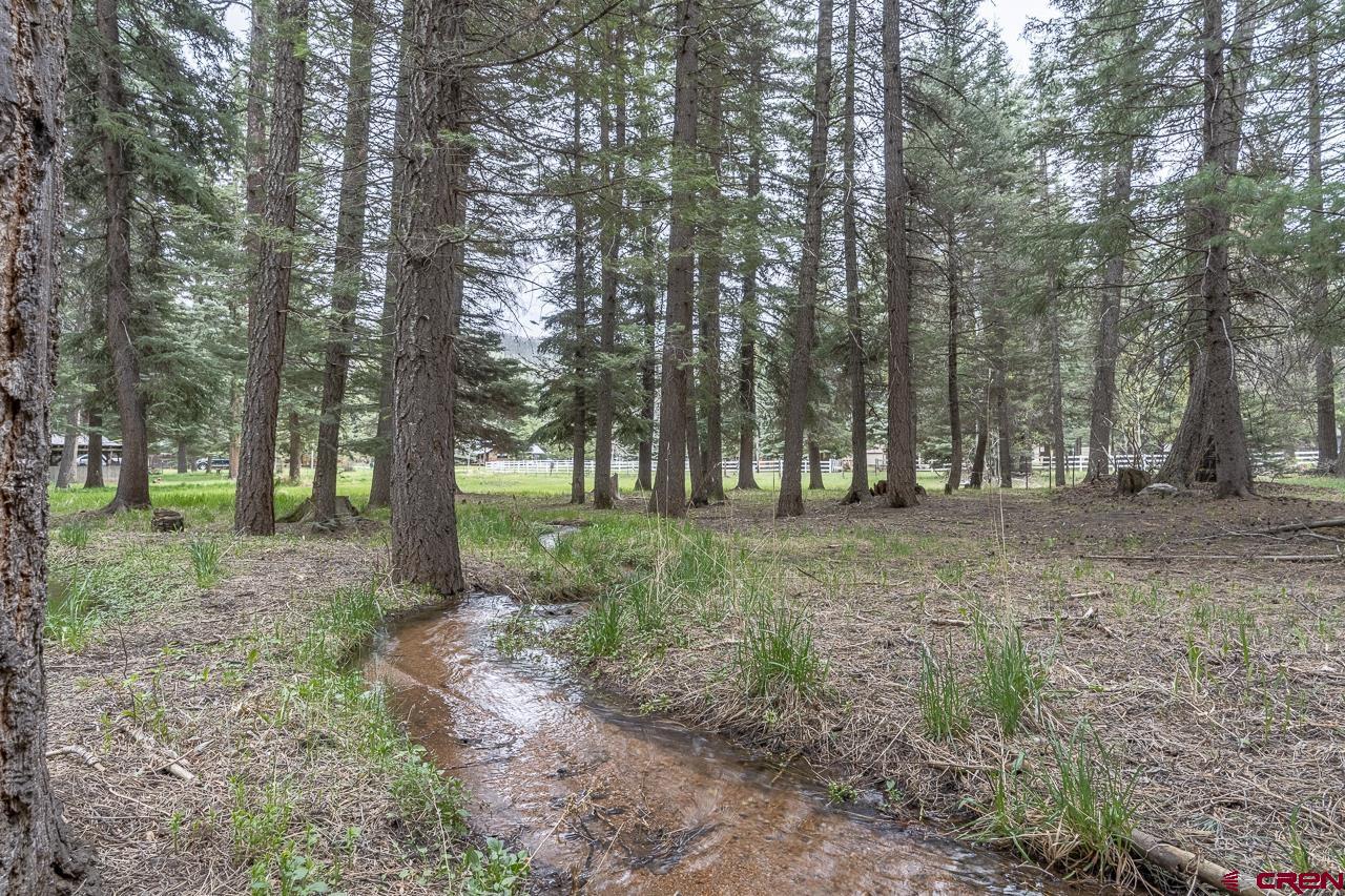 1695 County Road 500 Vallecito Lake/Bayfield CO 81122 Sold