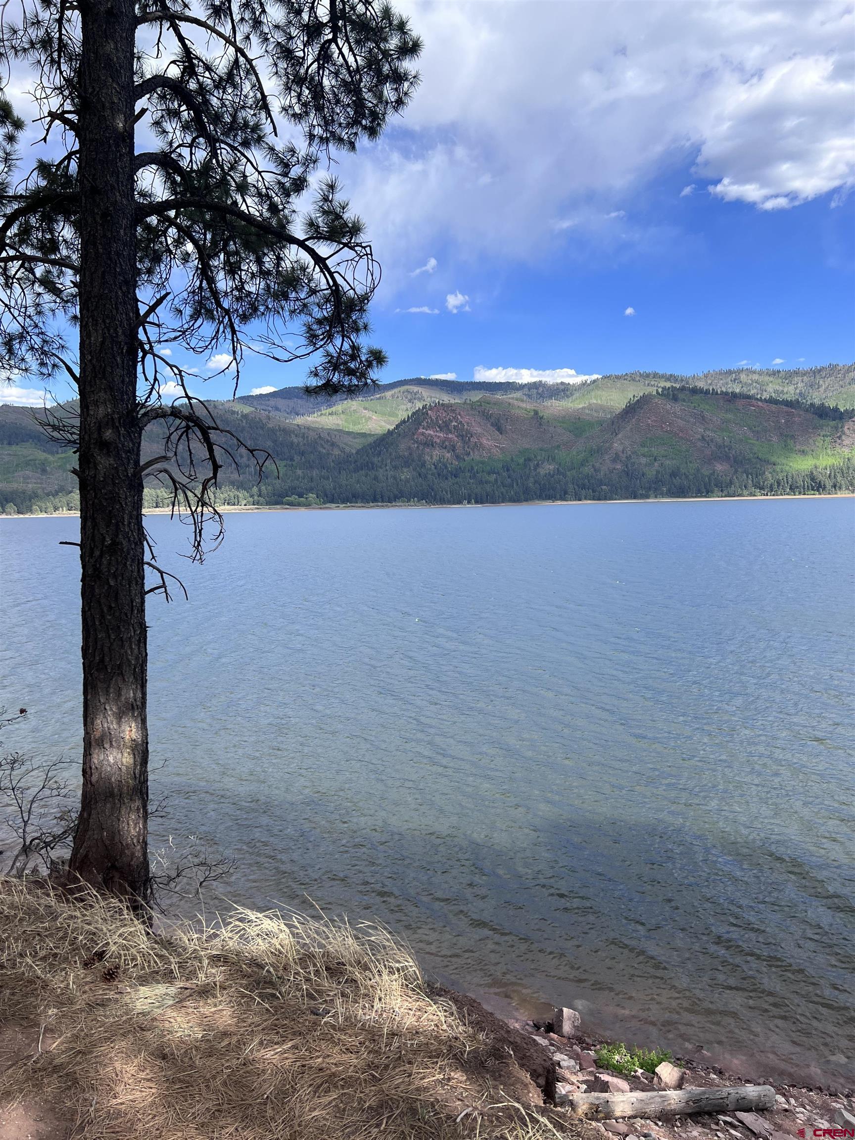 1695 County Road 500 Vallecito Lake/Bayfield CO 81122 Sold