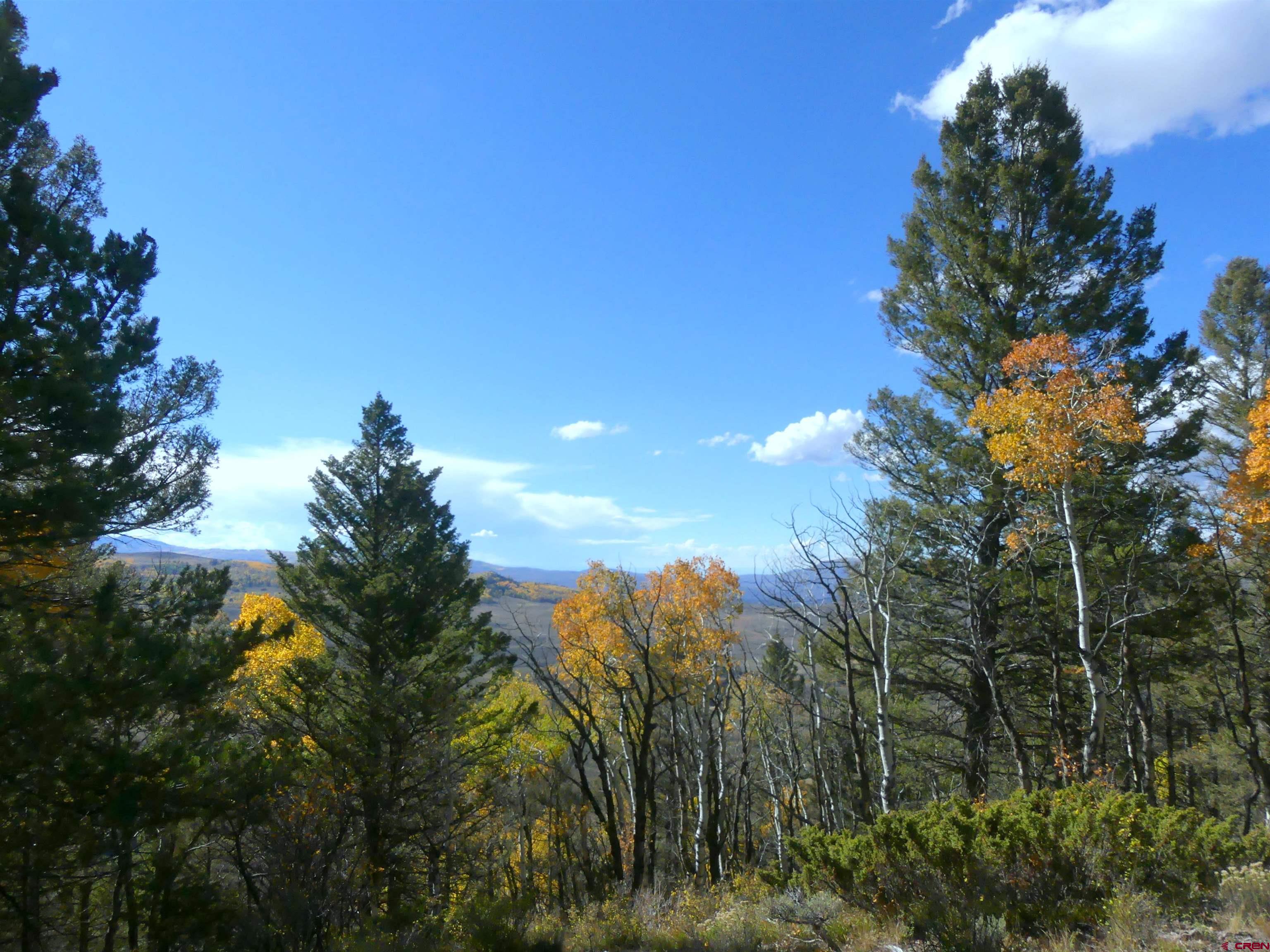 Western Slope Colorado Real Estate