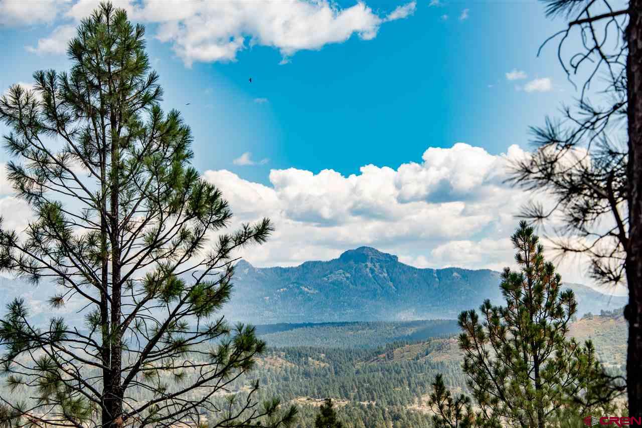 1301 County Rd 119, Pagosa Springs, CO 81147