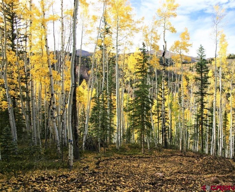 Photo of 6 Alpine Vis in Lake City, CO