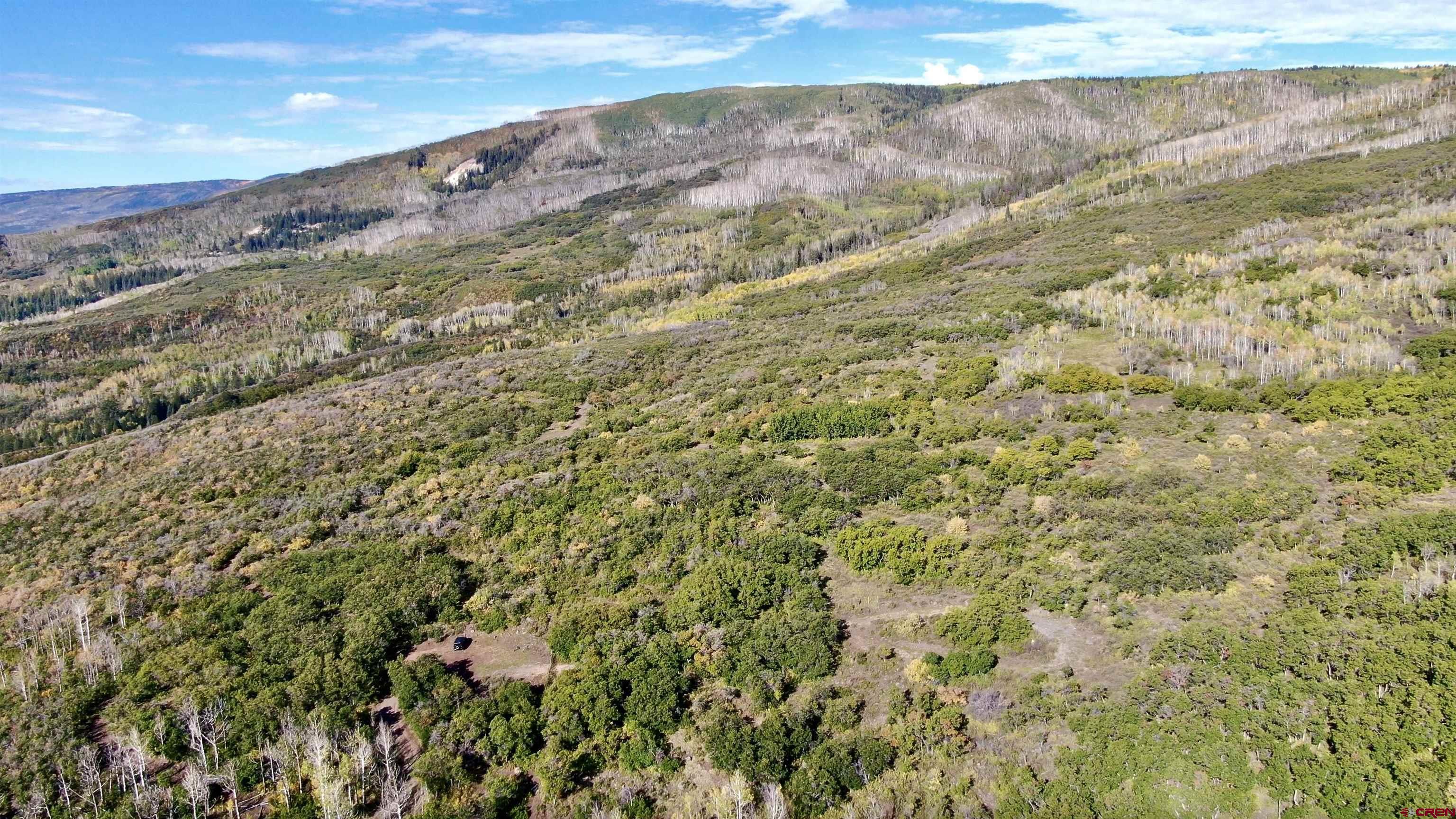 TBD Aspen Hills Road, Cedaredge, CO 81413