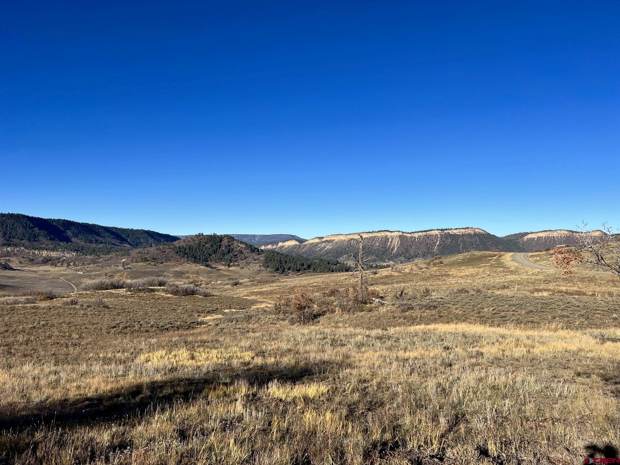 510 Irwin's Place Chromo CO 81128 Sold