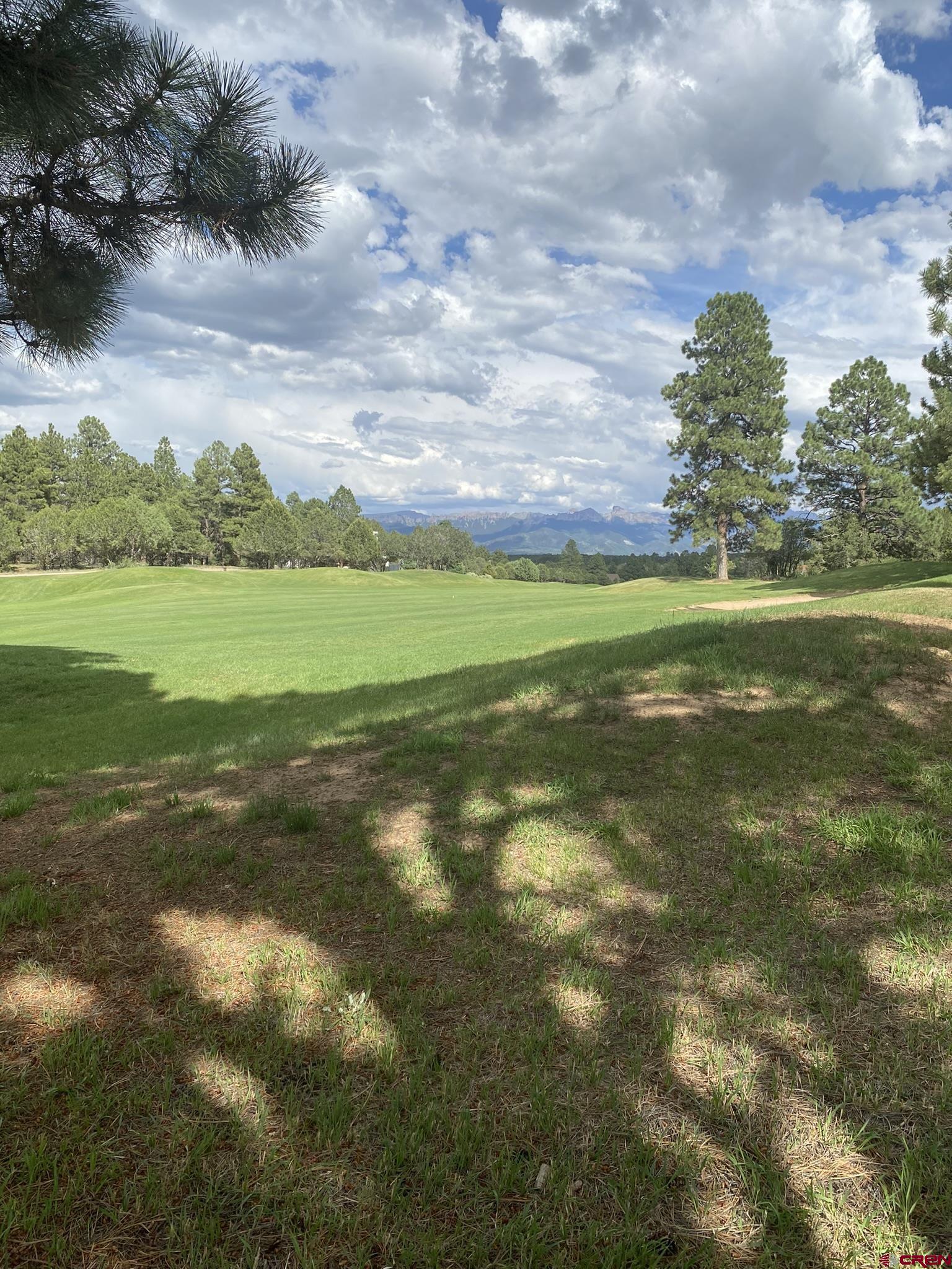 Paved roads and jaw-dropping scenery will lead you to your future homesite with all utilities to the lot line including Fiber Optics.   This corner lot  is 1.16 acres with tall Ponderosa's and views of the Cimarrons and Golf Course from the back of the lot.  A carefully designed home has the possibility or Mountain Views.  Divide Ranch & Club Golf Course is the perfect spot to get your game on.  Even for those that are not avid golfers there is different scenery from every hole on the course that you do not want to miss out on. In the winter enjoy snowshoeing, cross country skiing and sledding throughout the community.  The clubhouse offers opportunities to meet with your neighbors for a cocktail and a bite to eat.   It is also a gorgeous backdrop for a special events including weddings, birthdays, or other small private parties.  The community is centrally located in Southwestern Colorado within close proximity to every outdoor activity you can imagine.  Enjoy skiing or snowboarding in world renowned Telluride CO in the winter and take advantage of the many festivals offered throughout the summer including, Film, Wine, Yoga, Blue Grass ,Blue‘s & Brew’s and many more .  Ouray, known as the Little Switzerland of the US,  is within 15 min where you can soak in the Hot Springs while looking up at the mountains and hike or drive to waterfalls. Fly fishing, boating, kayaking, paddle boarding, hiking, mountain biking and off-roading is literally minutes away from your front door.  When you are done playing in the mountains stop by one of the local breweries or dine in one of the restaurants.  Divide Ranch & Club is a hidden gem nestled in the San Juan’s and is the perfect spot for a forever home or a second home.