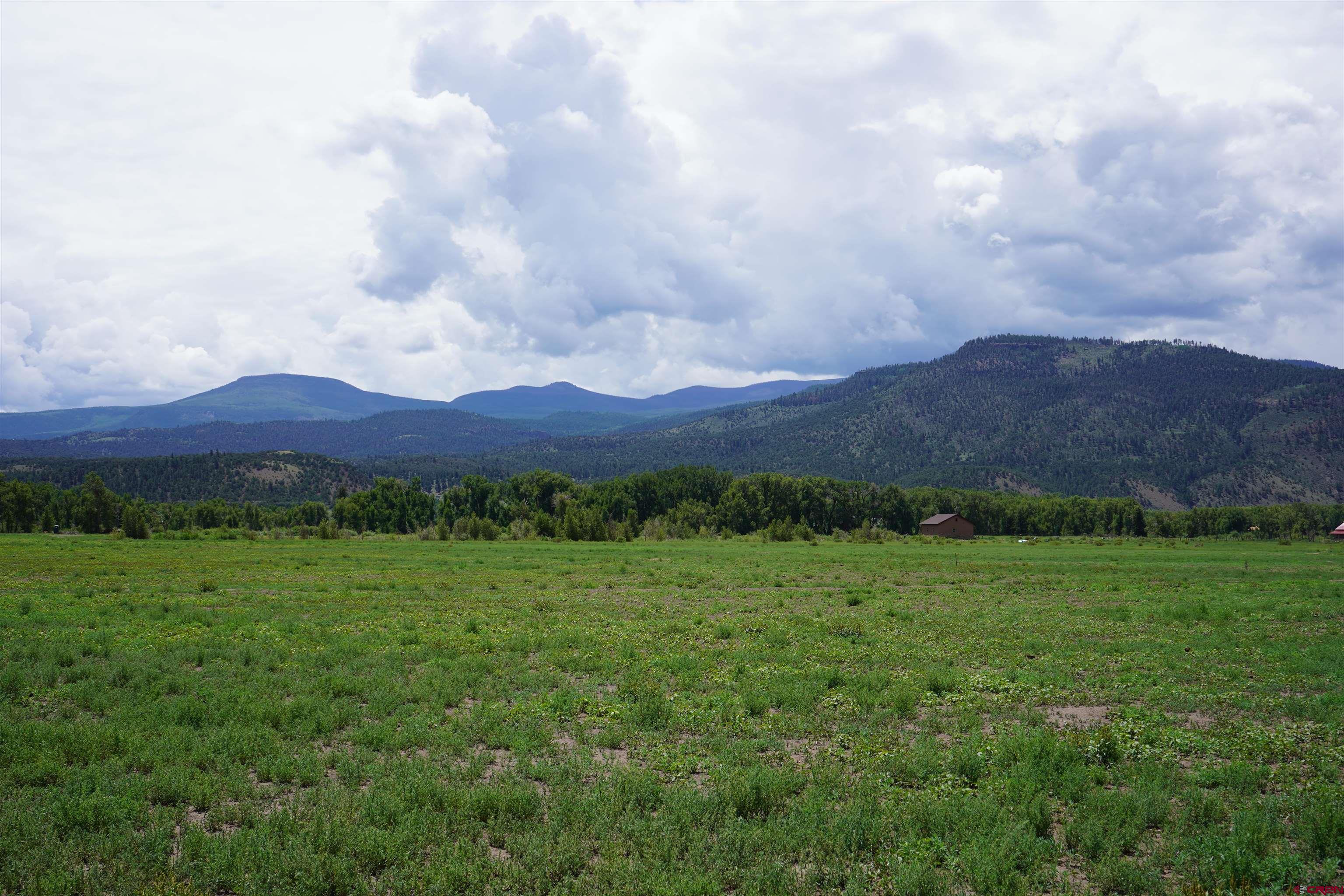 Photo of 103 Caddis Ct in South Fork, CO
