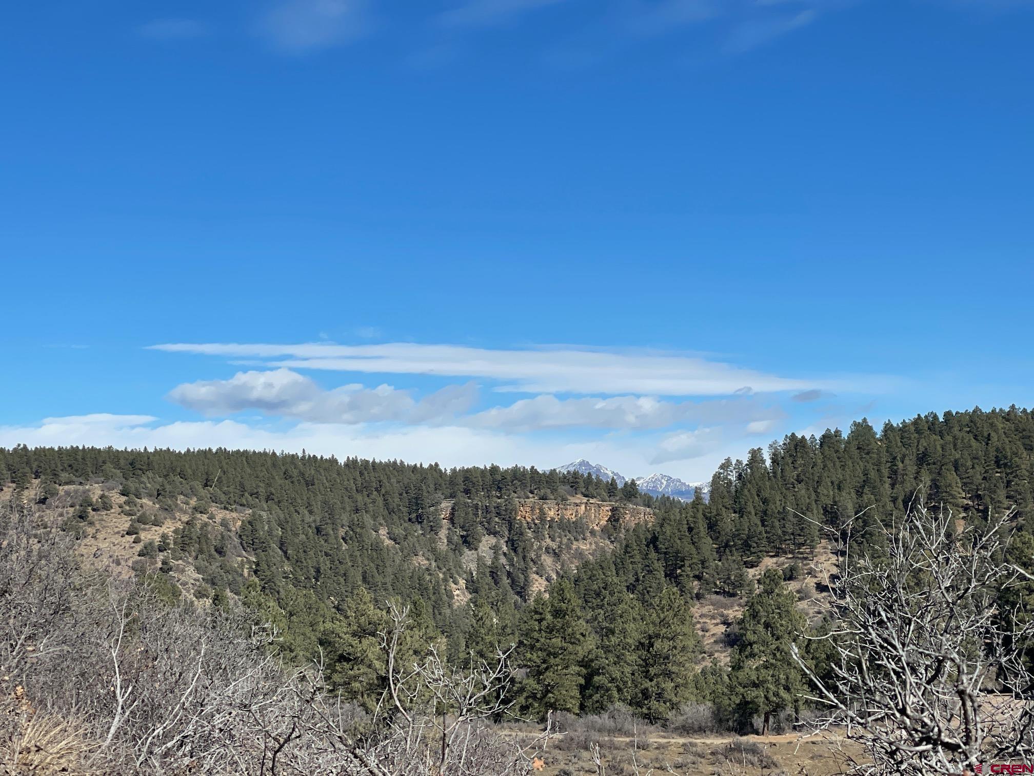 529 County Road 139