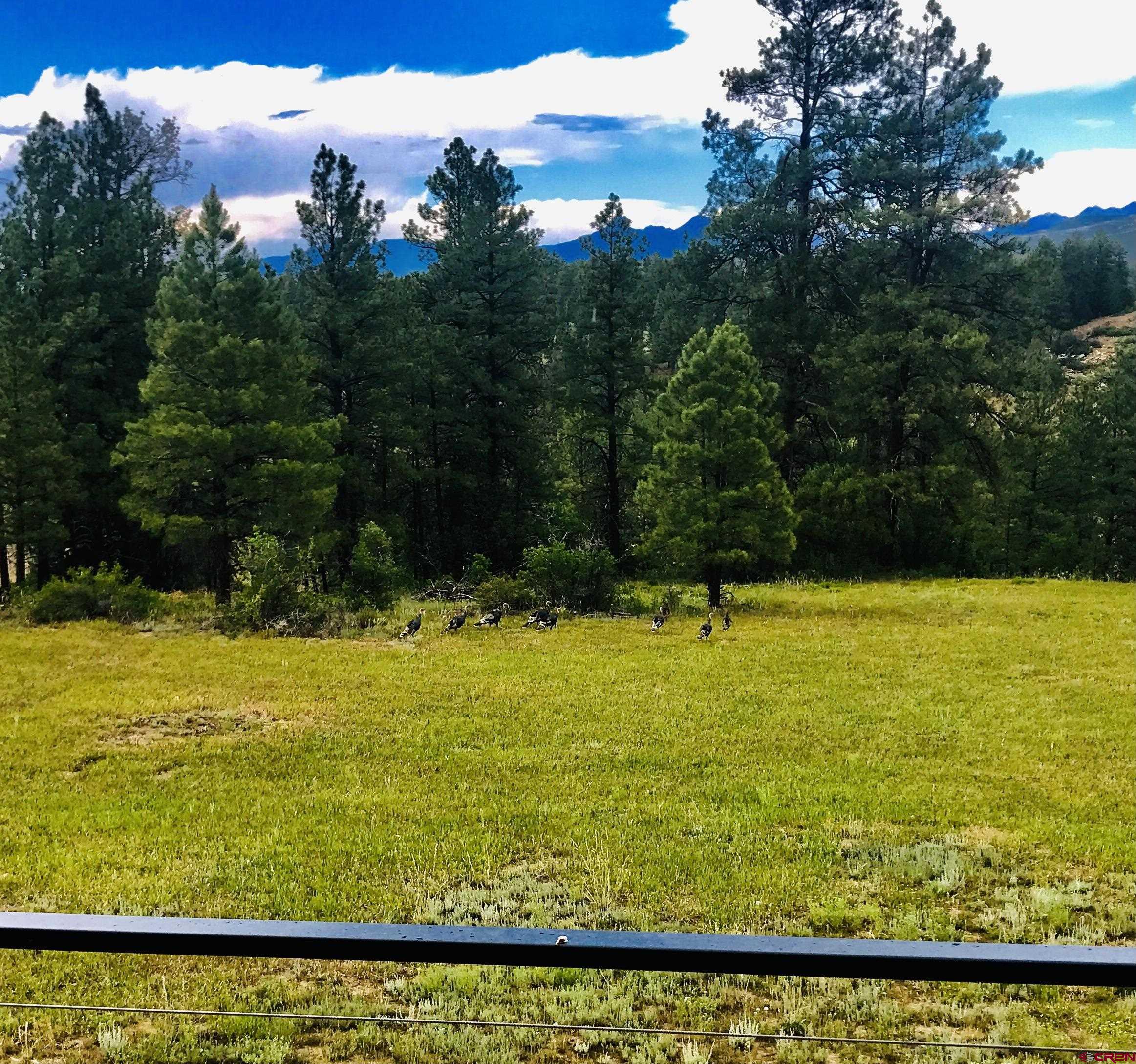 3295 County Road 359, Pagosa Springs, CO 81147 Listing Photo  11