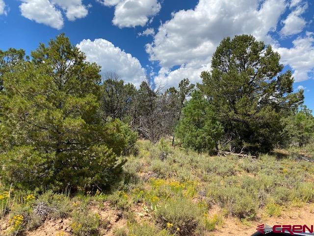 Photo of Tbd Barnes Point Dr in Montrose, CO