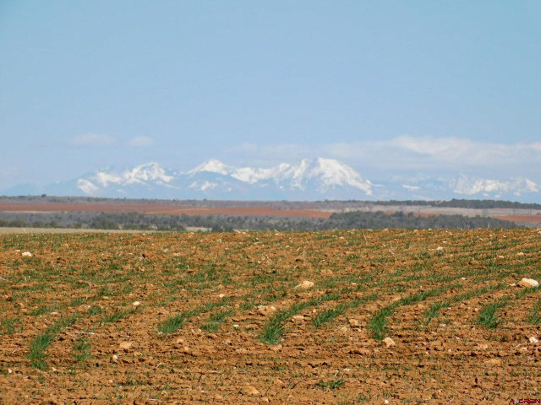 Photo of 3995 County Rd P, in Dove Creek, CO