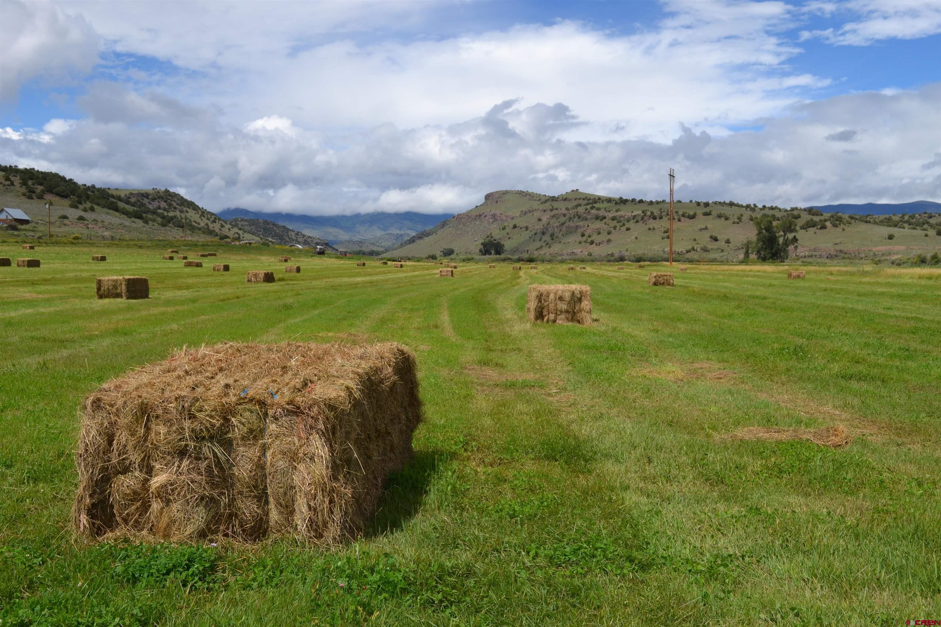 Photo of 432 County Rd 65/FDR in Del Norte, CO