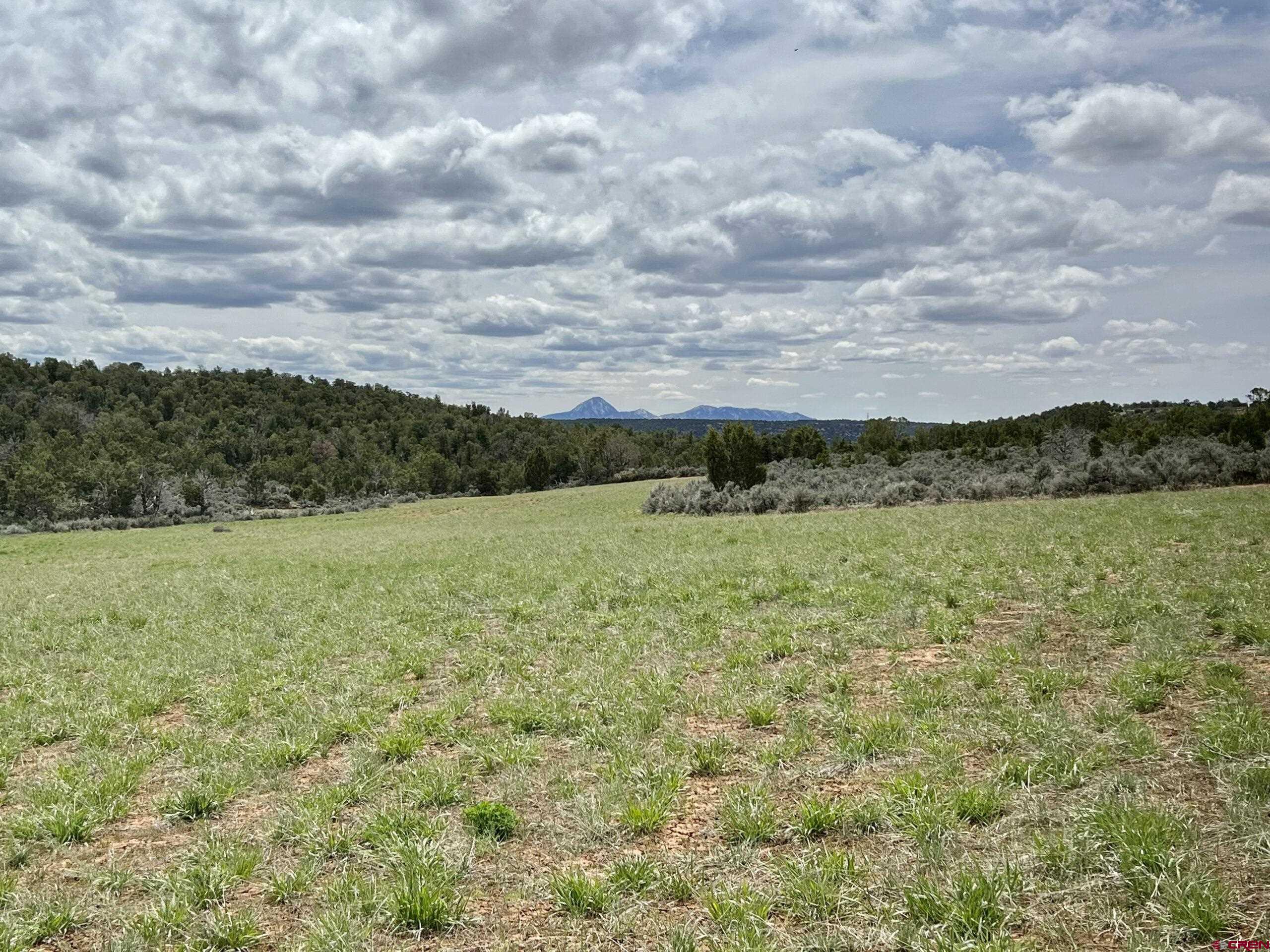 000 Road T Dove Creek CO 81324 Active