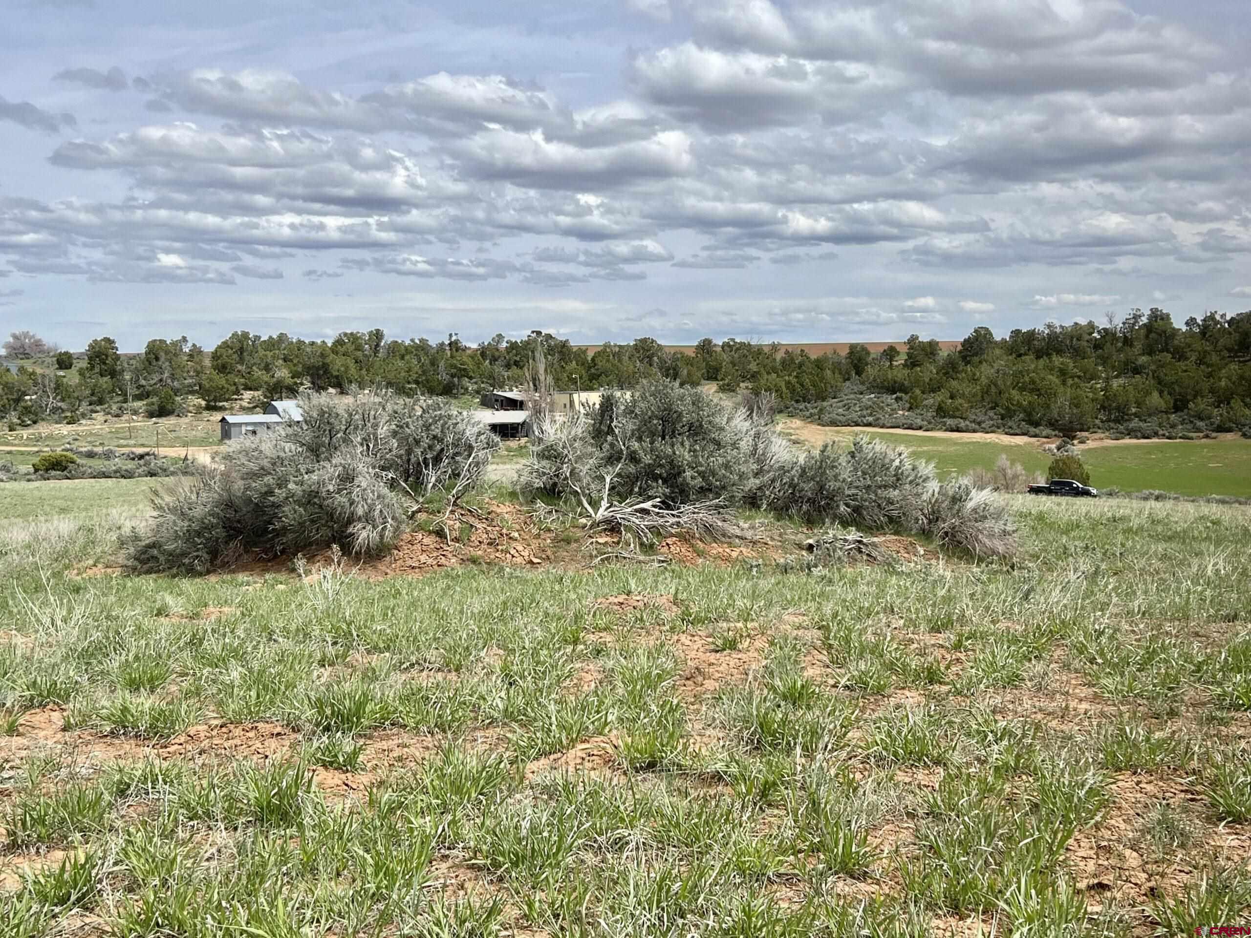 000 Road T Dove Creek CO 81324 Active