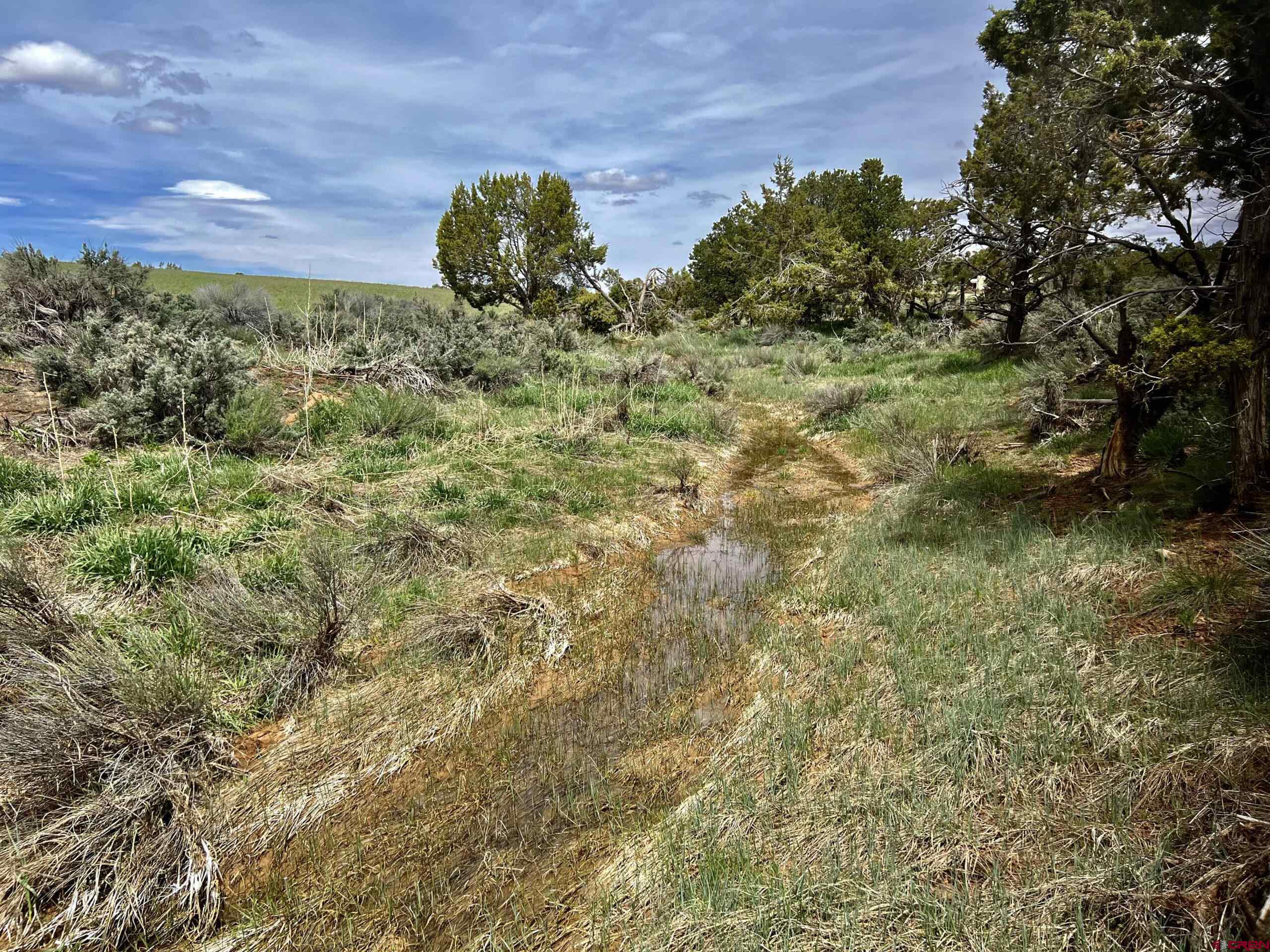 000 Road T Dove Creek CO 81324 Active