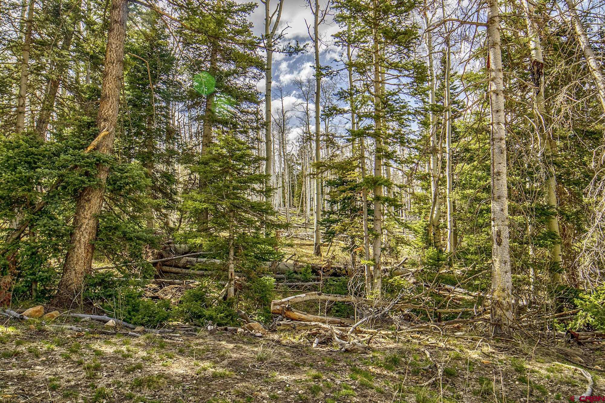 Lots 2A & 2B Spruce Mountain Trail, Ridgway, CO 81432 Listing Photo  2