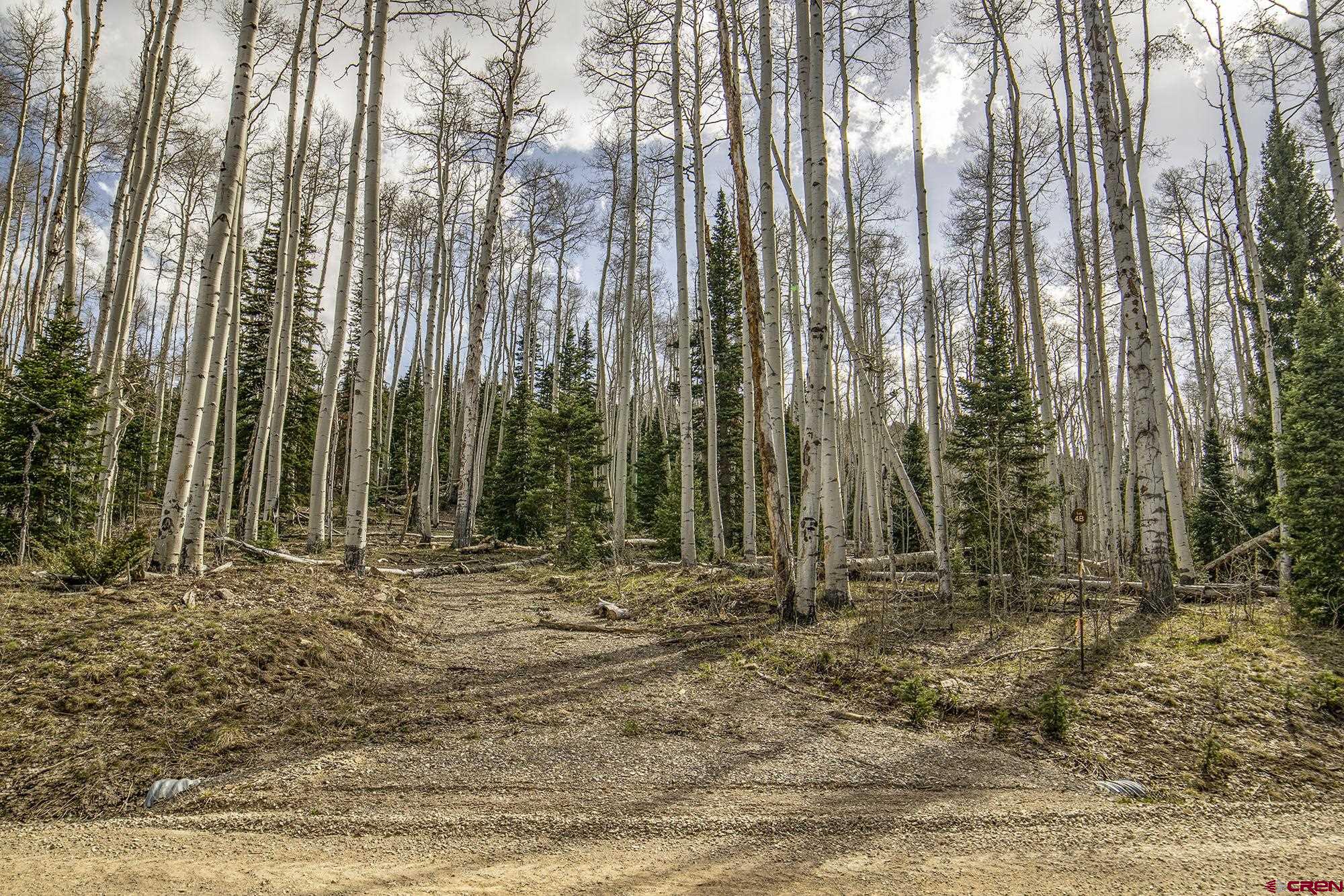 Lots 2A & 2B Spruce Mountain Trail, Ridgway, CO 81432 Listing Photo  5