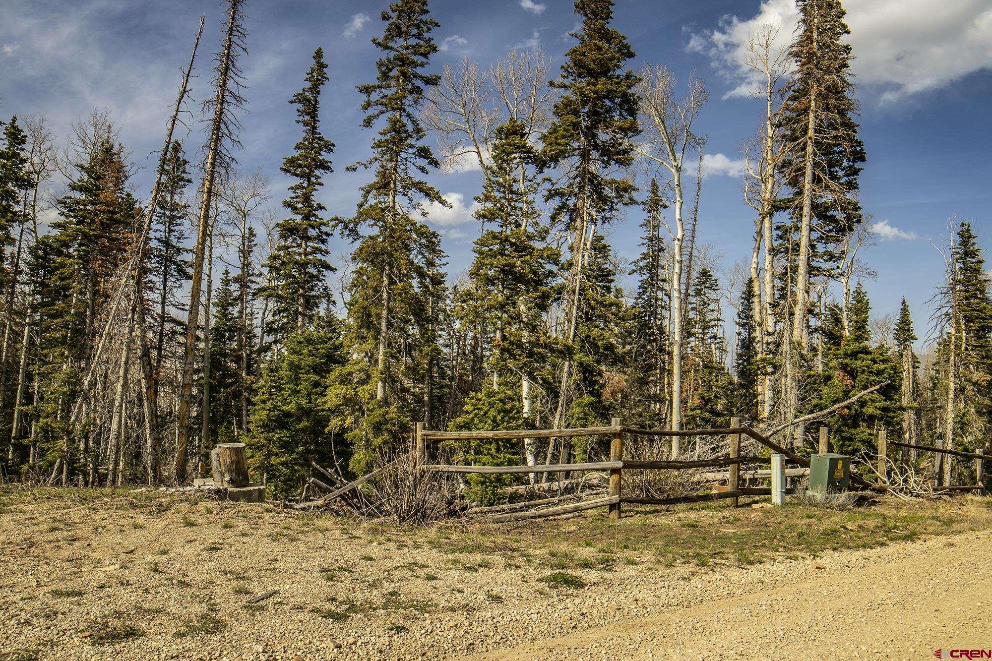 Lots 2A & 2B Spruce Mountain Trail, Ridgway, CO 81432 Listing Photo  7