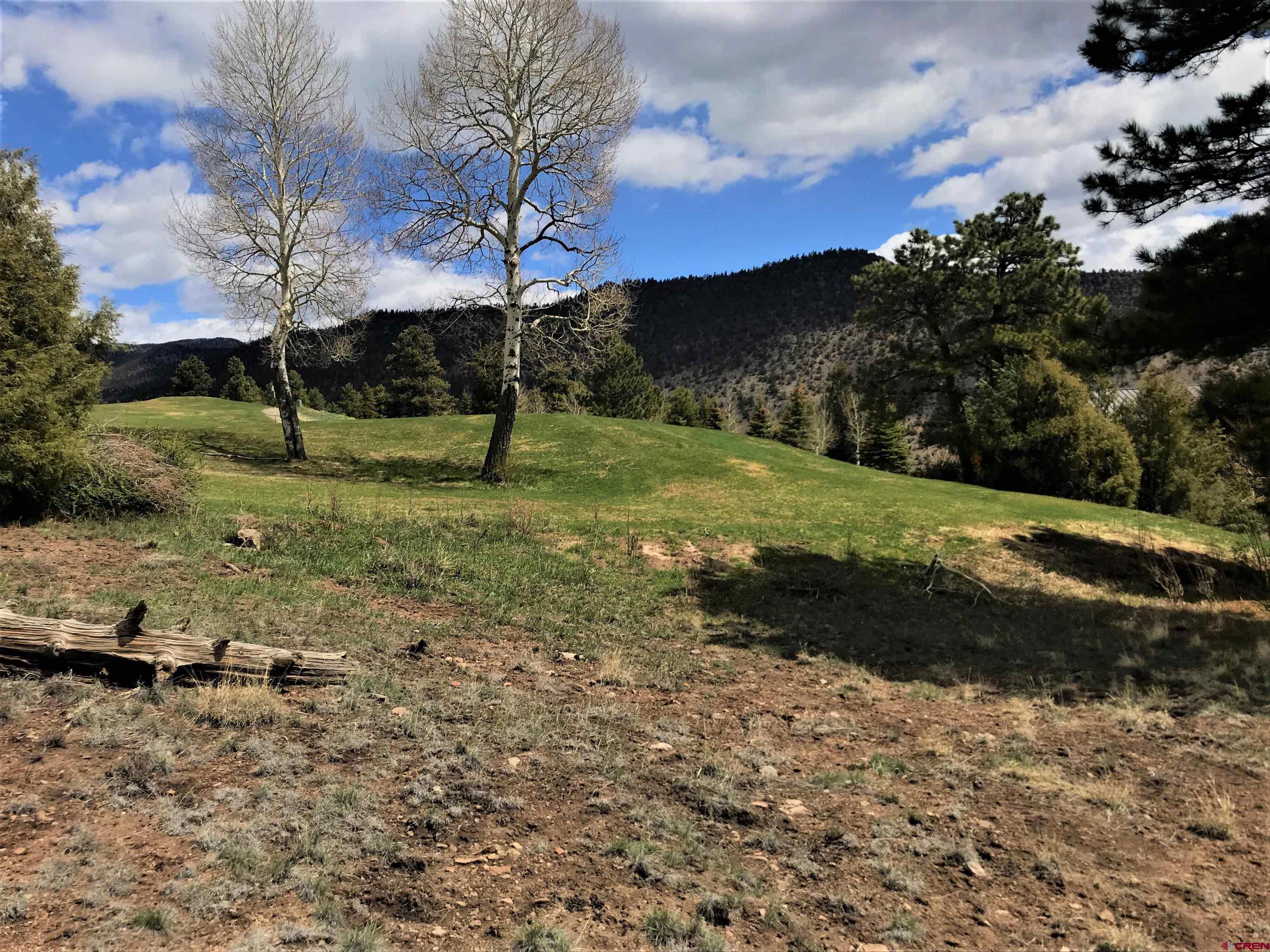 Photo of 51 Mojave Ct in South Fork, CO