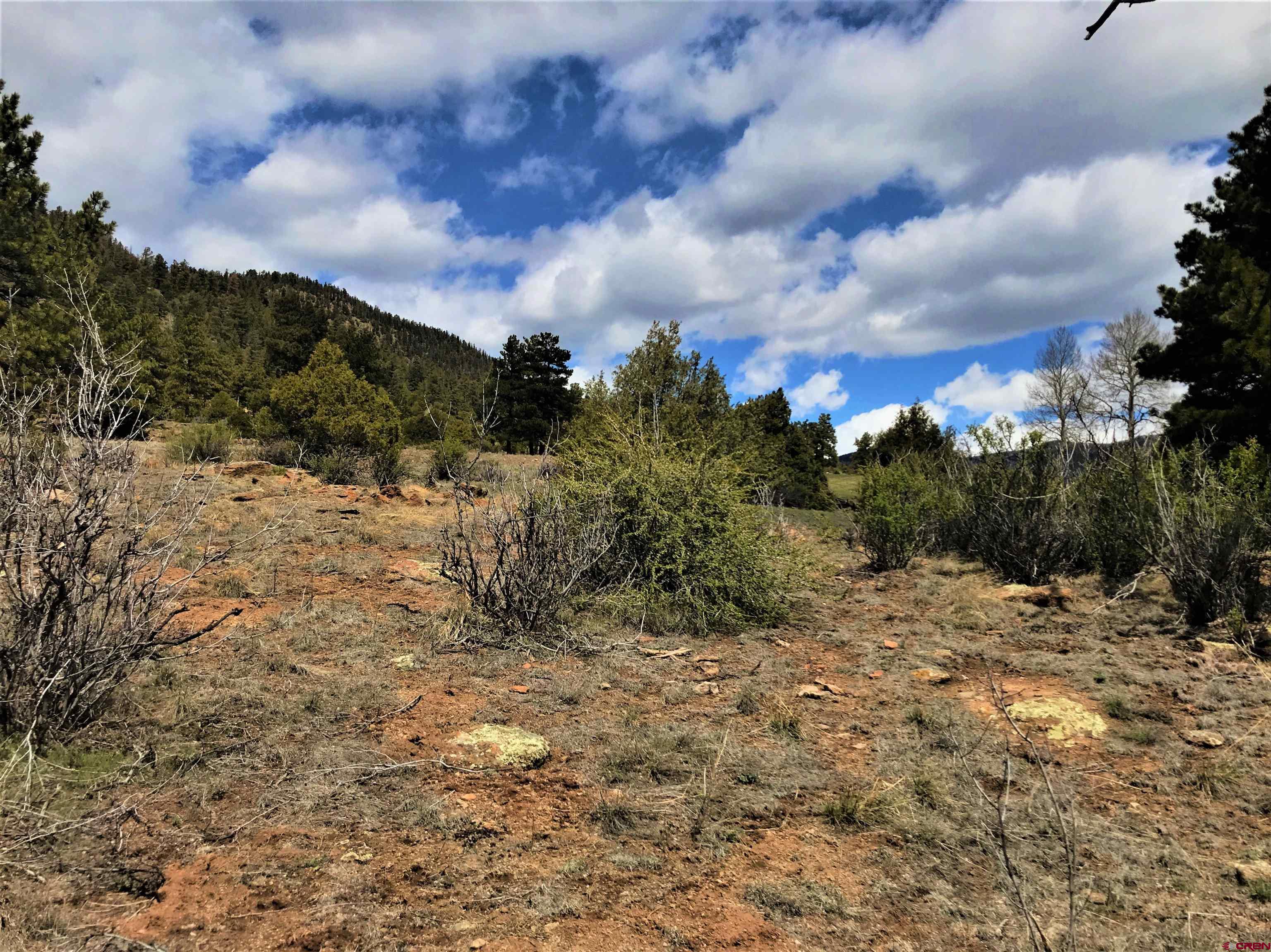 51 Mojave Court South Fork CO 81154 Active