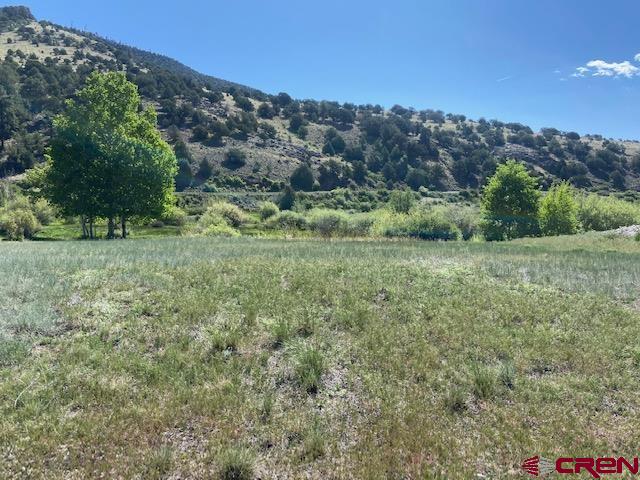 Photo of 14 S Alder Creek Ln in South Fork, CO