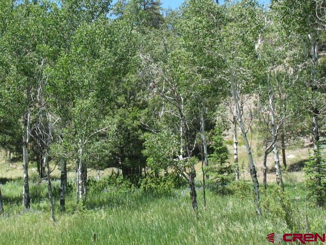 Photo of 0 Aspen Dr in South Fork, CO