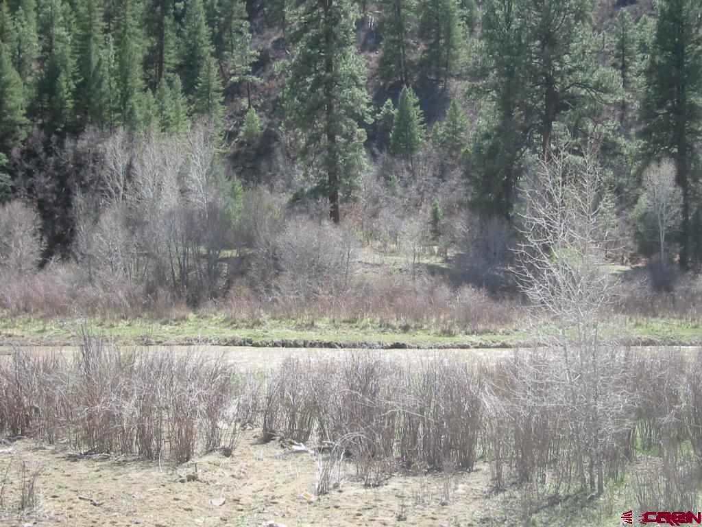 2700 County Road 551 & X CR 551 Easement, Pagosa Springs, CO 81147 Listing Photo  2