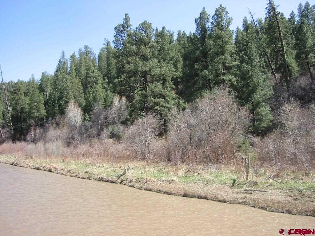 2700 County Road 551 & X CR 551 Easement, Pagosa Springs, CO 81147 Listing Photo  3