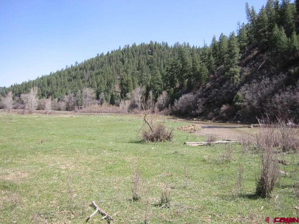 2700 County Road 551 & X CR 551 Easement, Pagosa Springs, CO 81147 Listing Photo  5