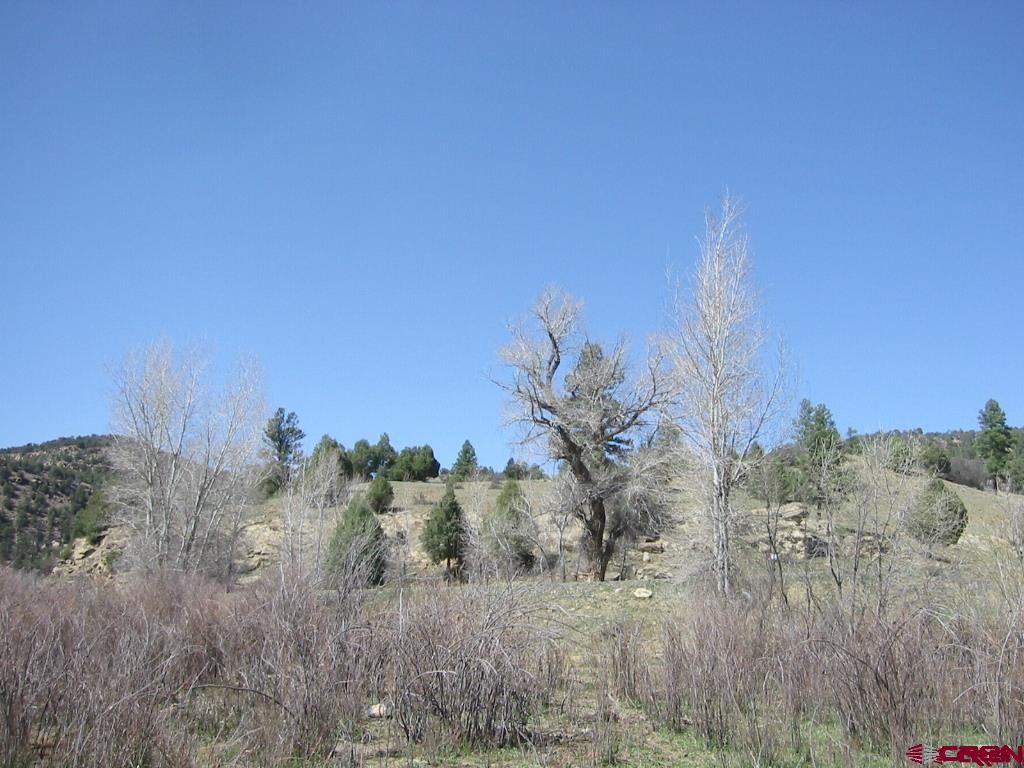 2700 County Road 551 & X CR 551 Easement, Pagosa Springs, CO 81147 Listing Photo  6